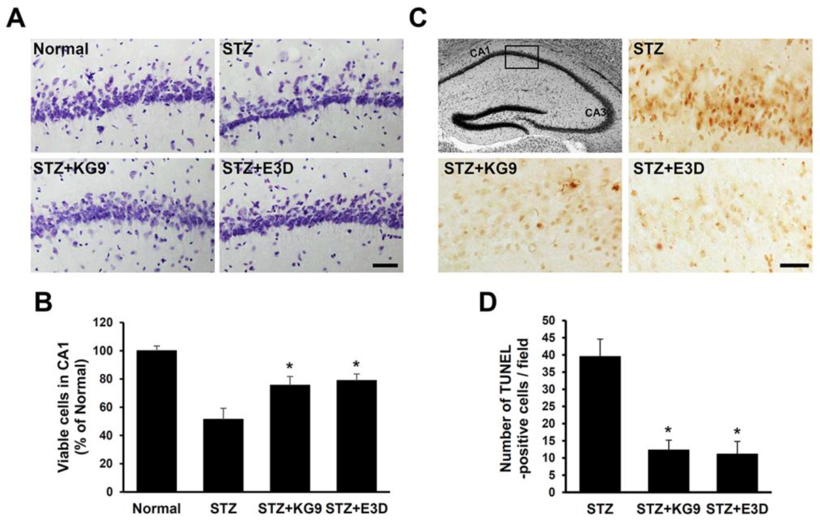 Nutrients 12 02383 g009 Nutrients 12 02383 g009