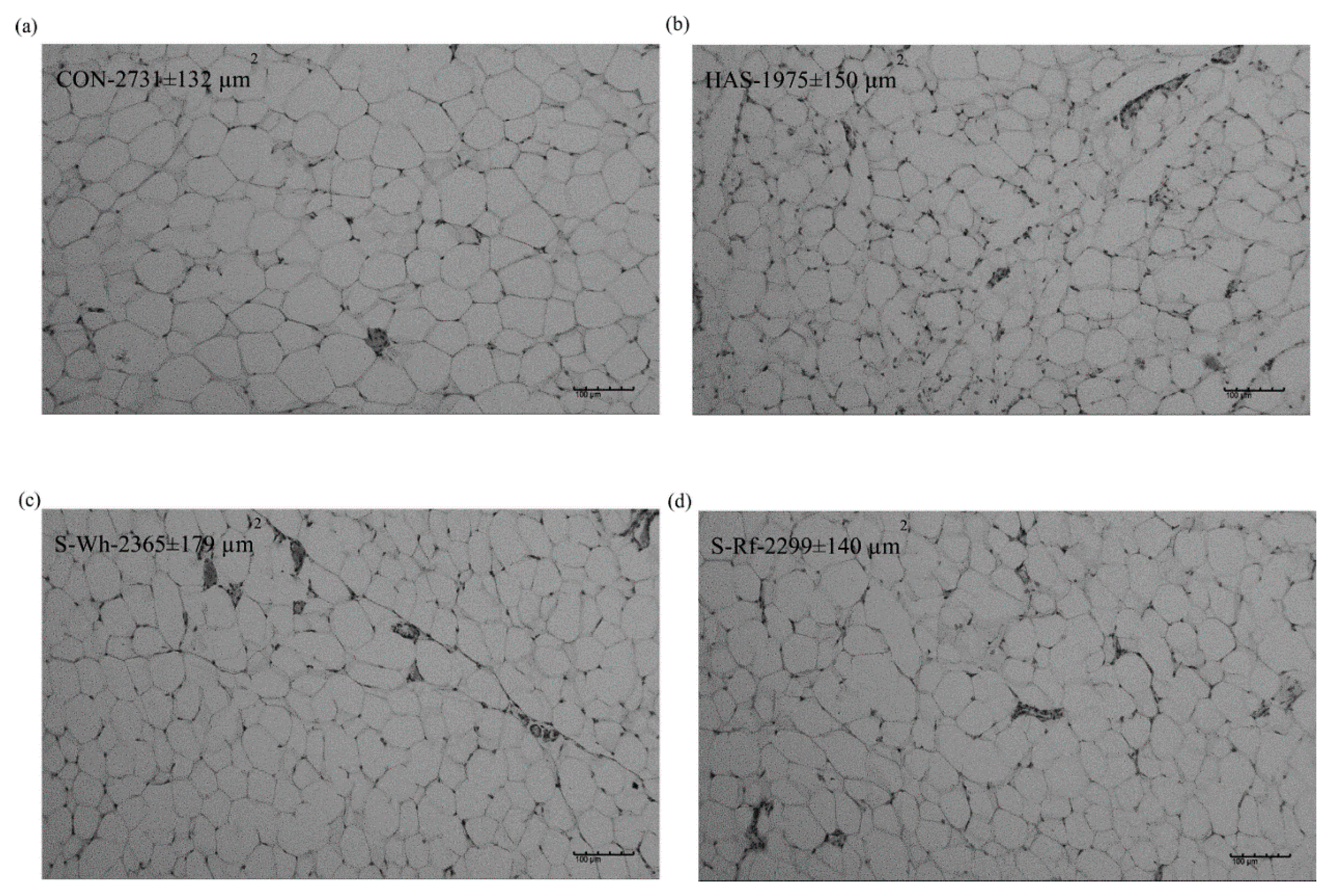 Nutrients 12 02412 g001 Nutrients 12 02412 g001