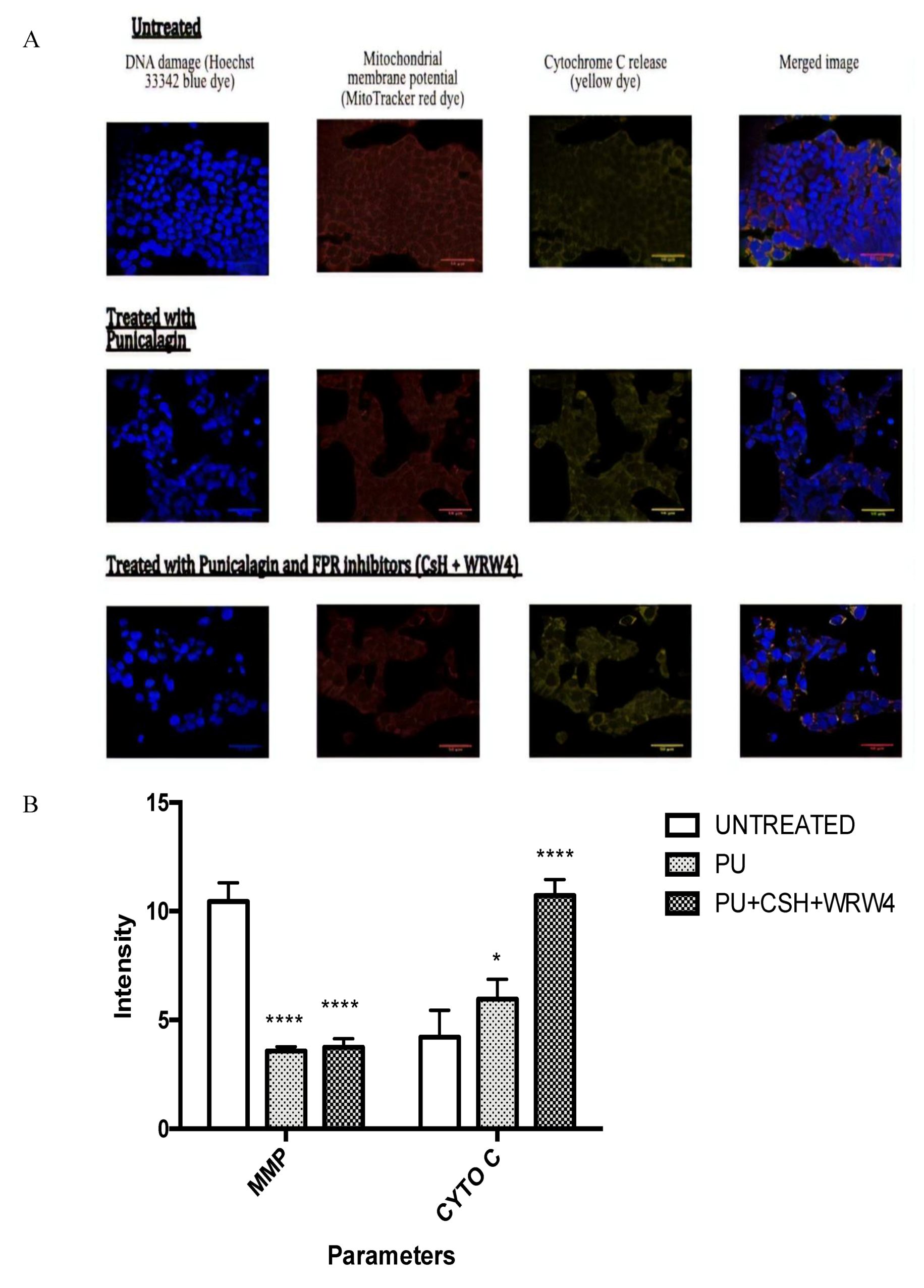 Nutrients 12 02430 g004 Nutrients 12 02430 g004