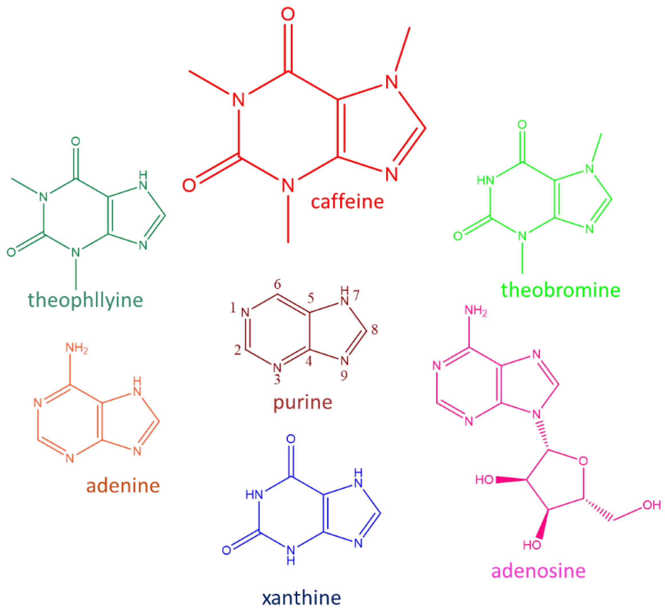 Nutrients 12 02440 g001 Nutrients 12 02440 g001