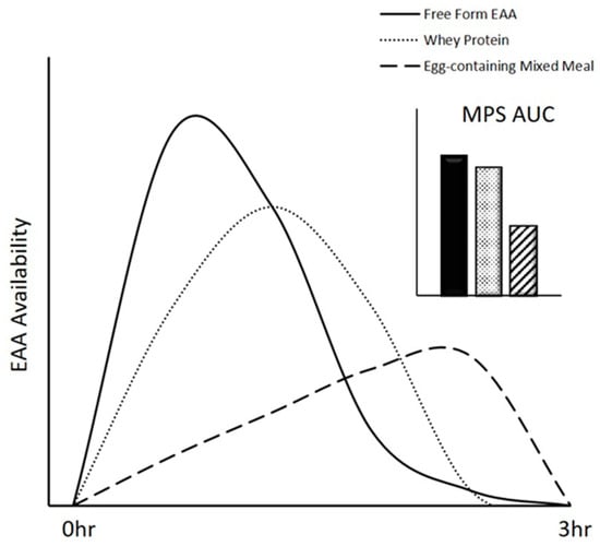 Nutrients Free Full Text Muscle Protein Synthesis And Whole Body Protein Turnover Responses To Ingesting Essential Amino Acids Intact Protein And Protein Containing Mixed Meals With Considerations For Energy Deficit Html