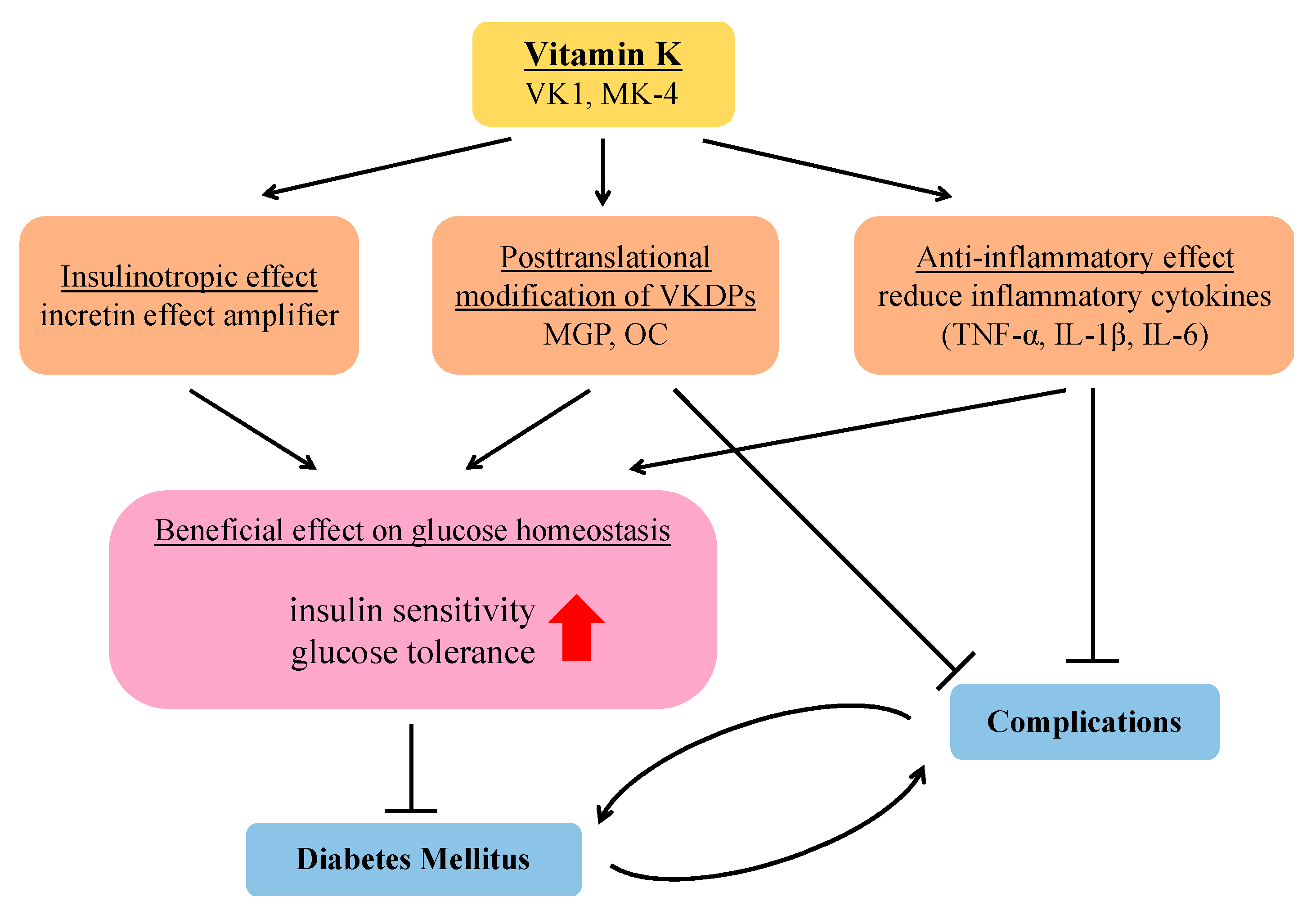 Nutrients | Free Full-Text | Beneficial Effects of Vitamin K Status on  Glycemic Regulation and Diabetes Mellitus: A Mini-Review