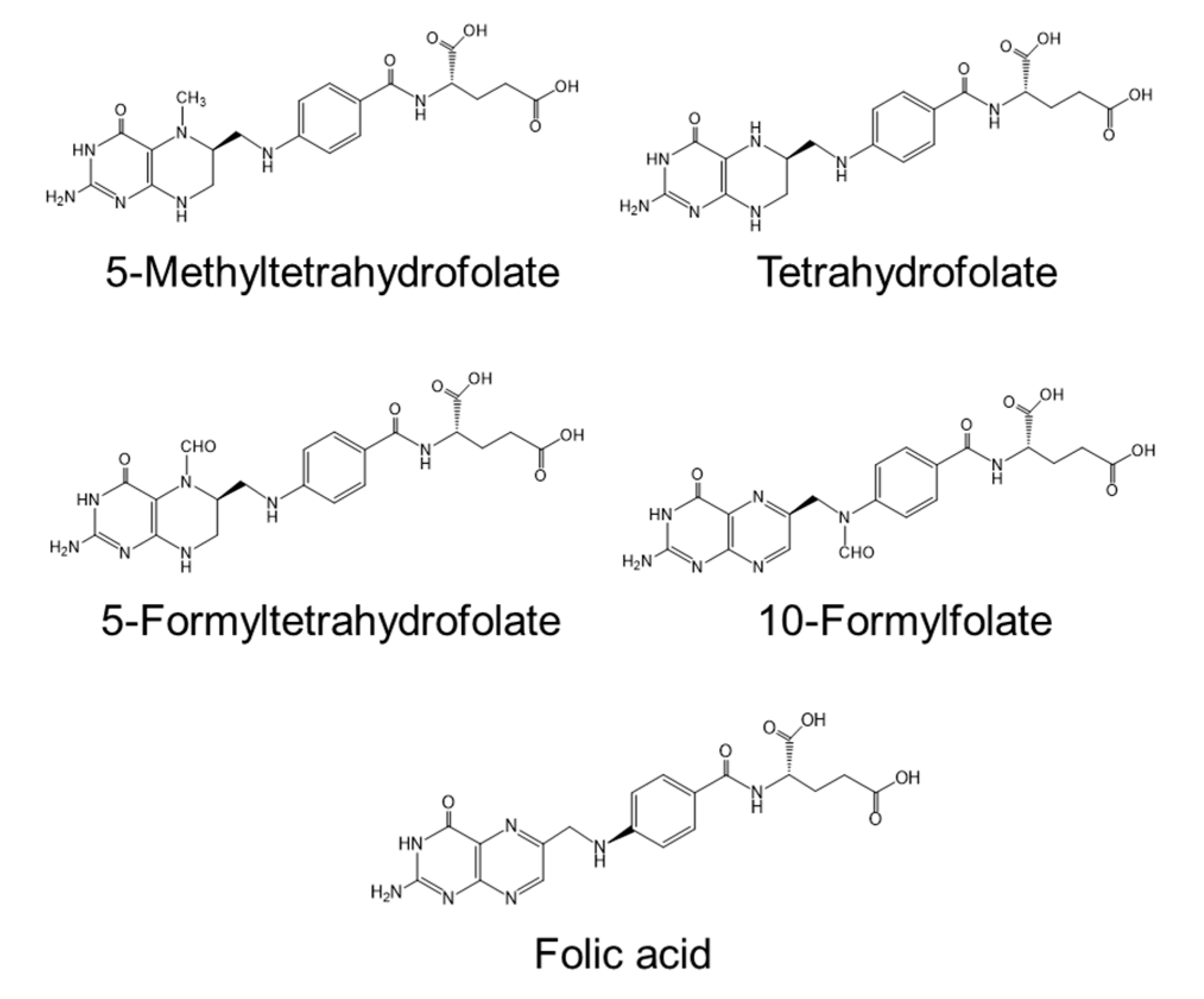 Nutrients 12 02524 g003 Nutrients 12 02524 g003