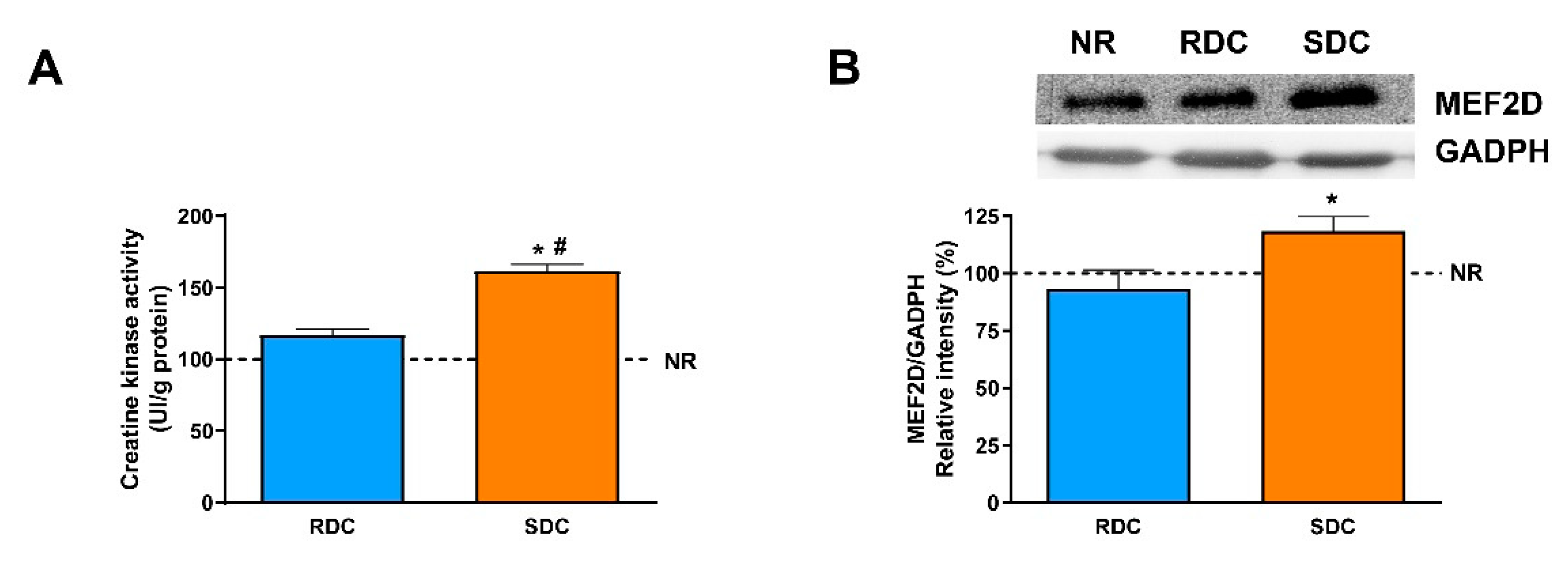 Nutrients 12 02568 g005