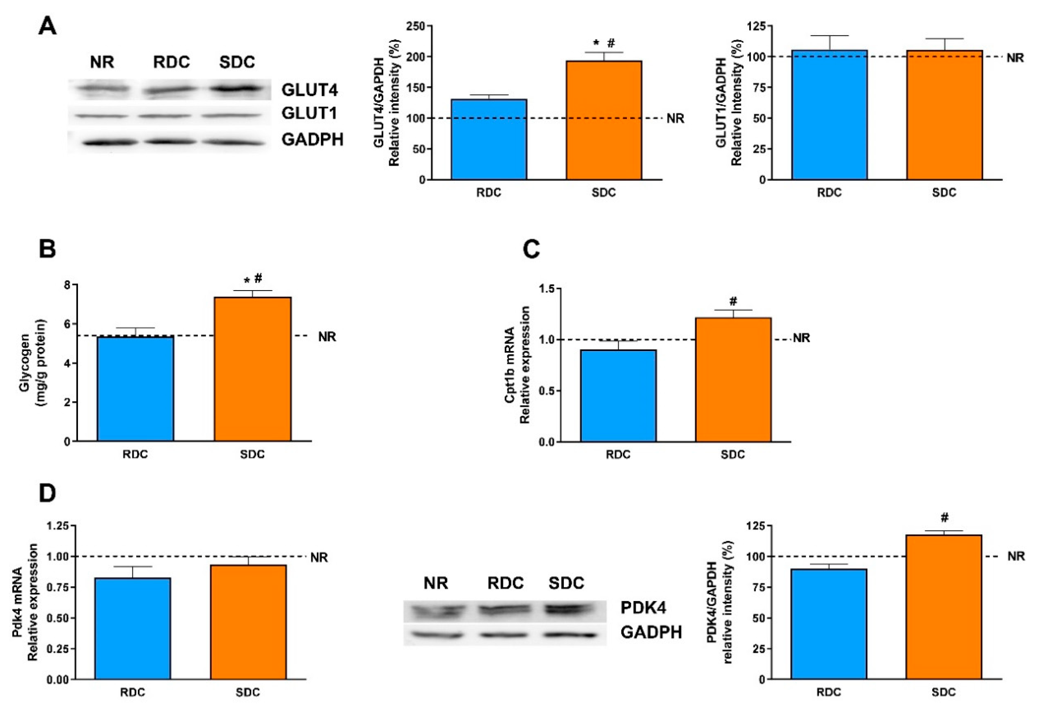 Nutrients 12 02568 g006