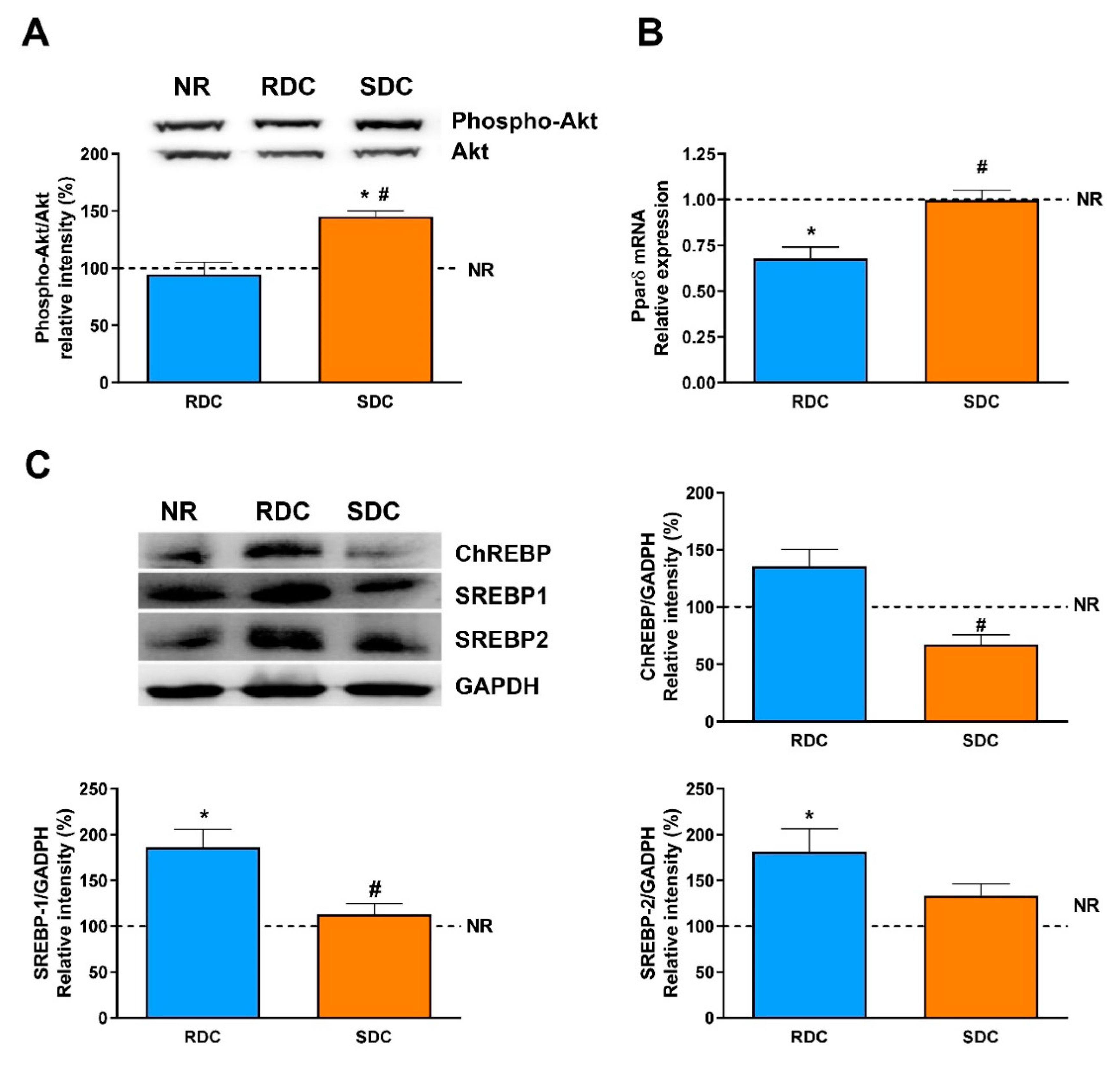 Nutrients 12 02568 g007