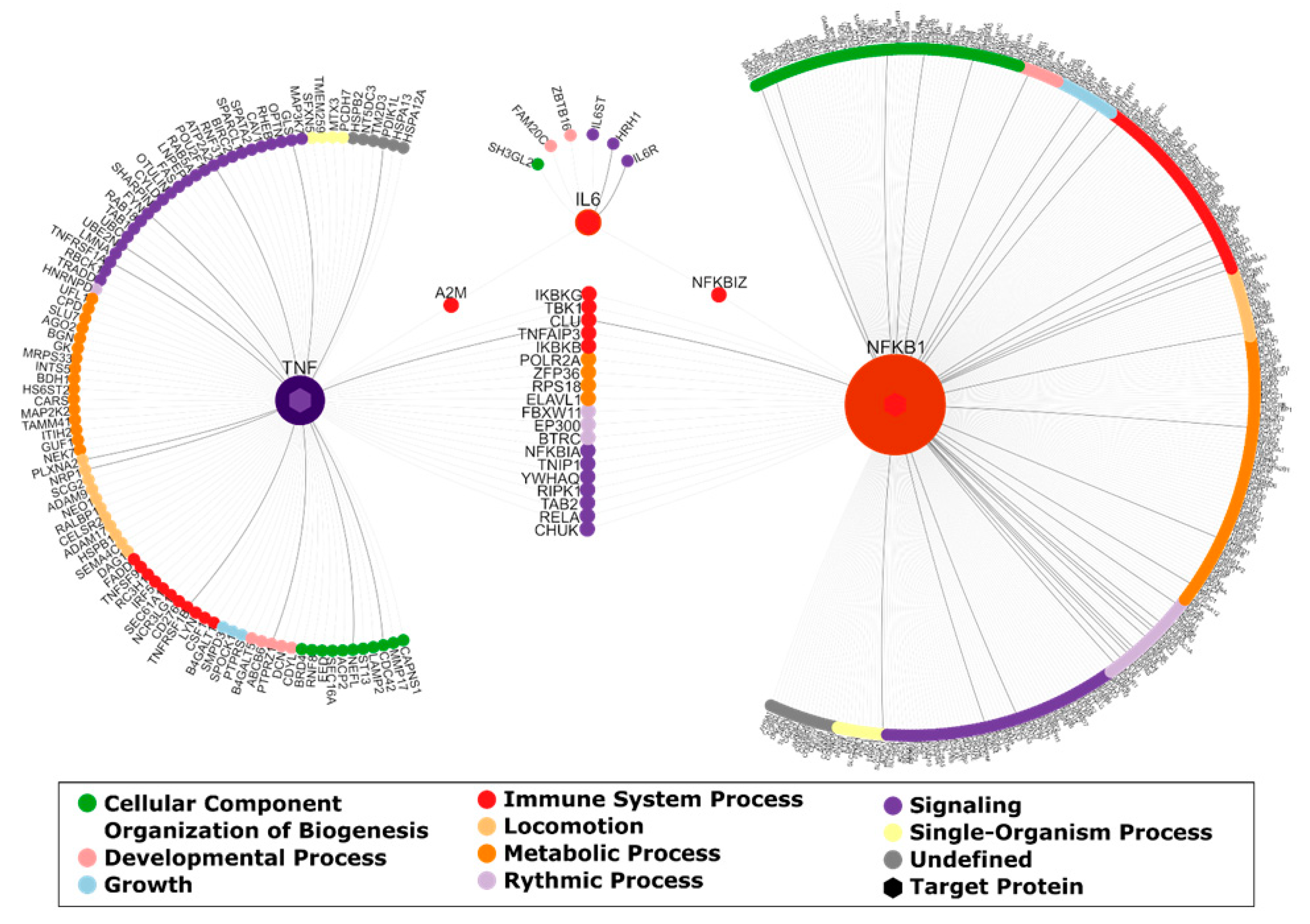 Nutrients 12 02575 g004 Nutrients 12 02575 g004