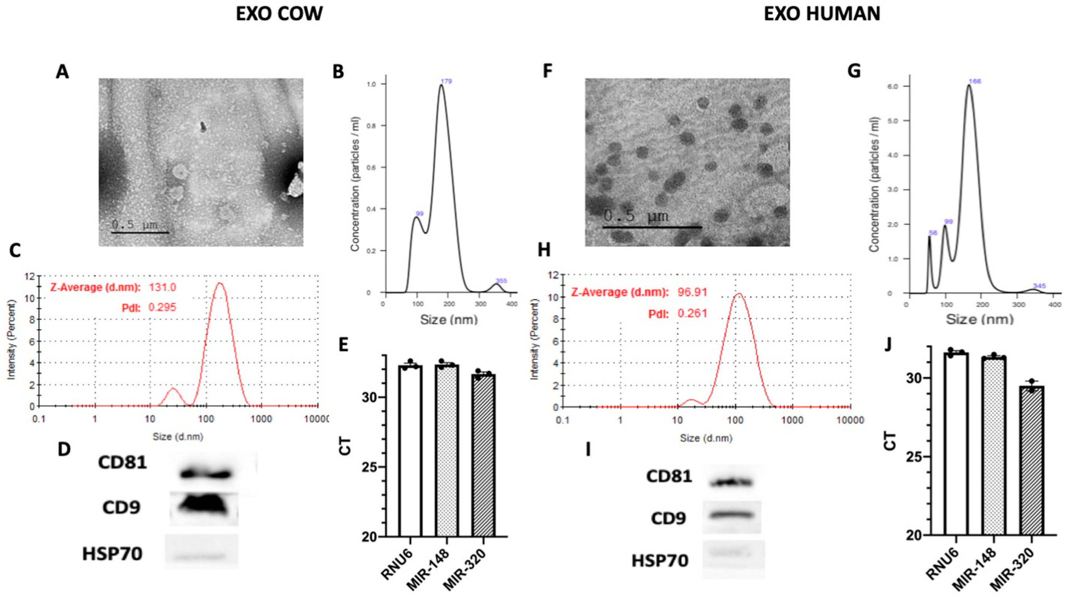 Nutrients 12 02589 g001