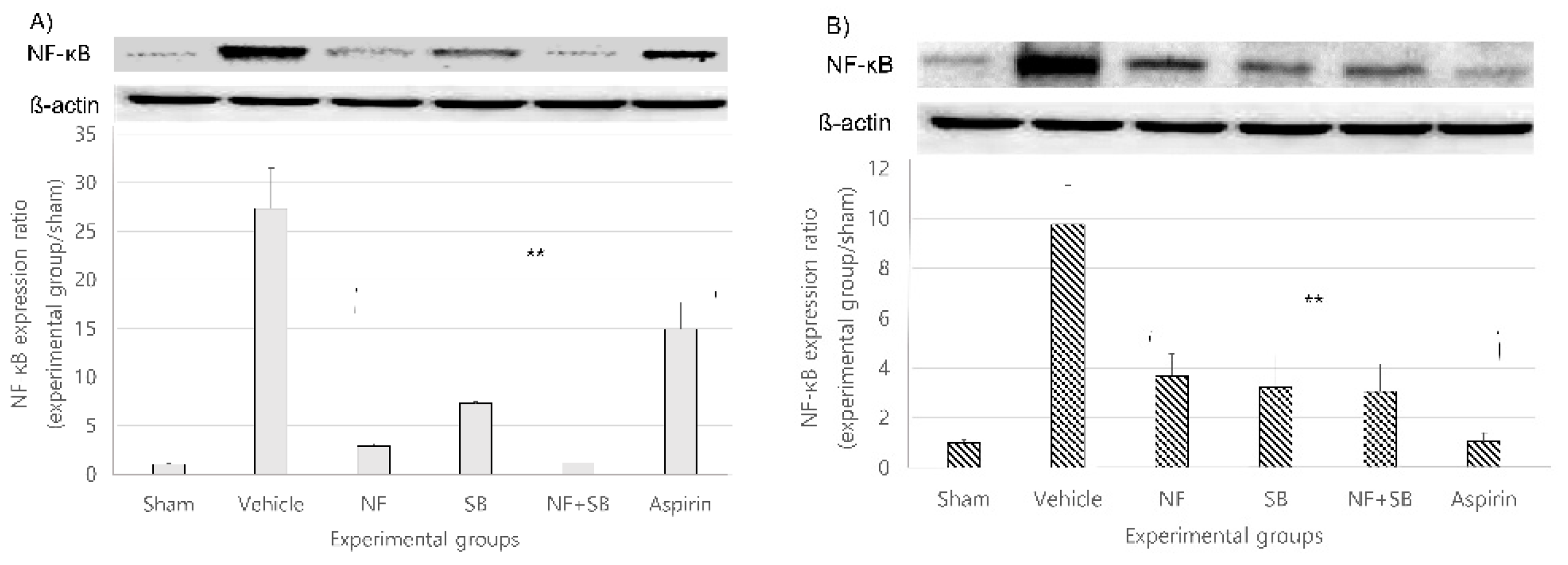 Nutrients Free Full Text Neuroprotective Effect Of Nypa Fruticans Wurmb By Suppressing Trpv1 Following Sciatic Nerve Crush Injury In A Rat Html