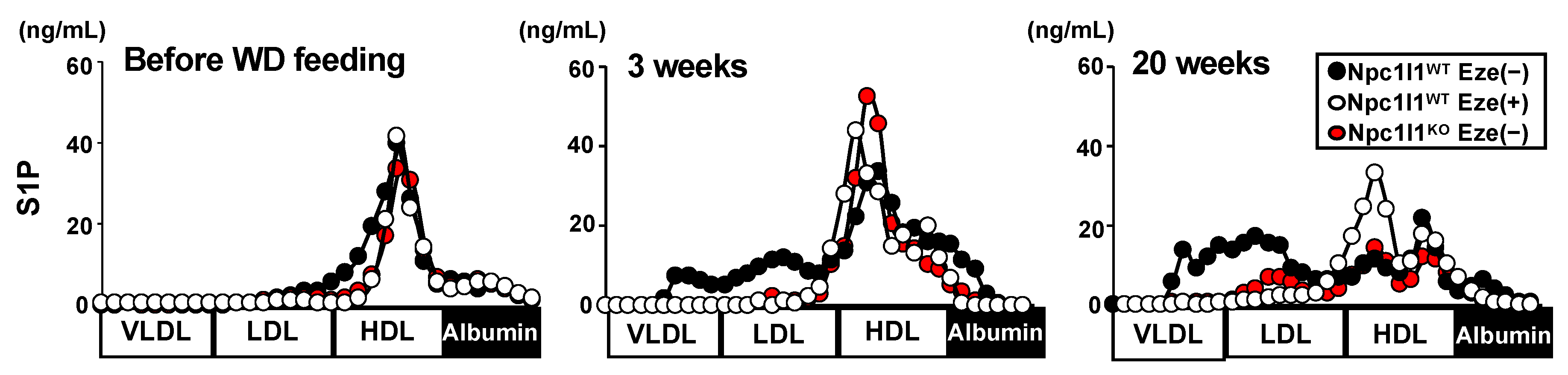 Nutrients Free Full Text Npc1l1 Facilitates Sphingomyelin Absorption And Regulates Diet Induced Production Of Vldl Ldl Associated S1p Html