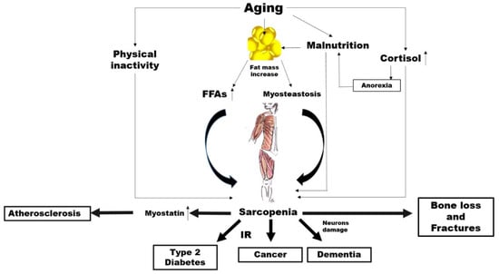 Nutrients 12 02662 g001 550