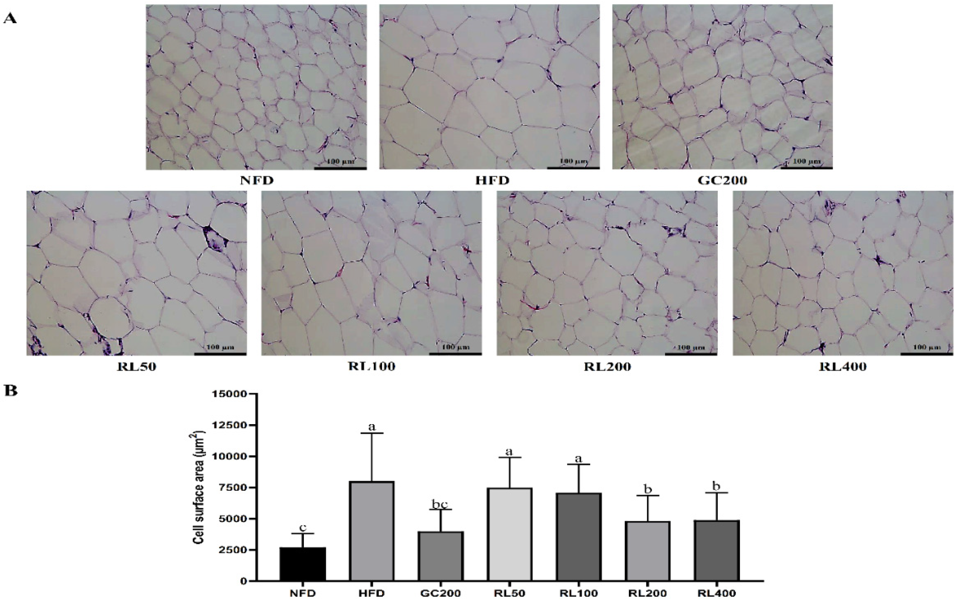 Nutrients 12 02744 g005 Nutrients 12 02744 g005