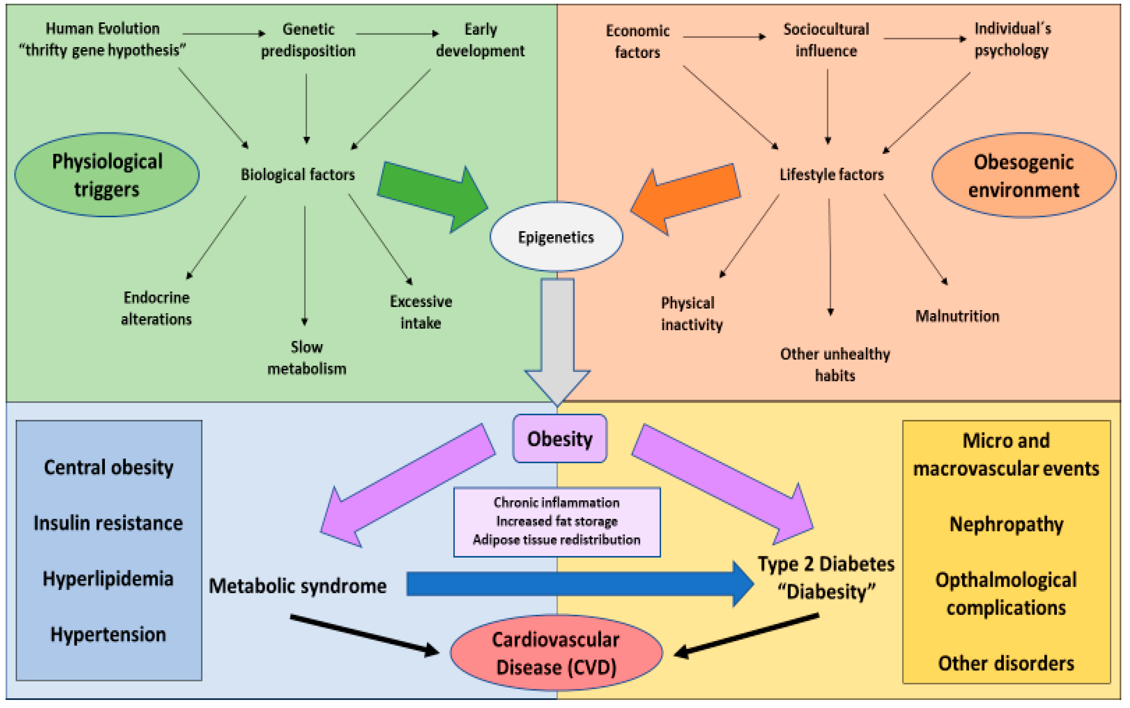 „diabesity“