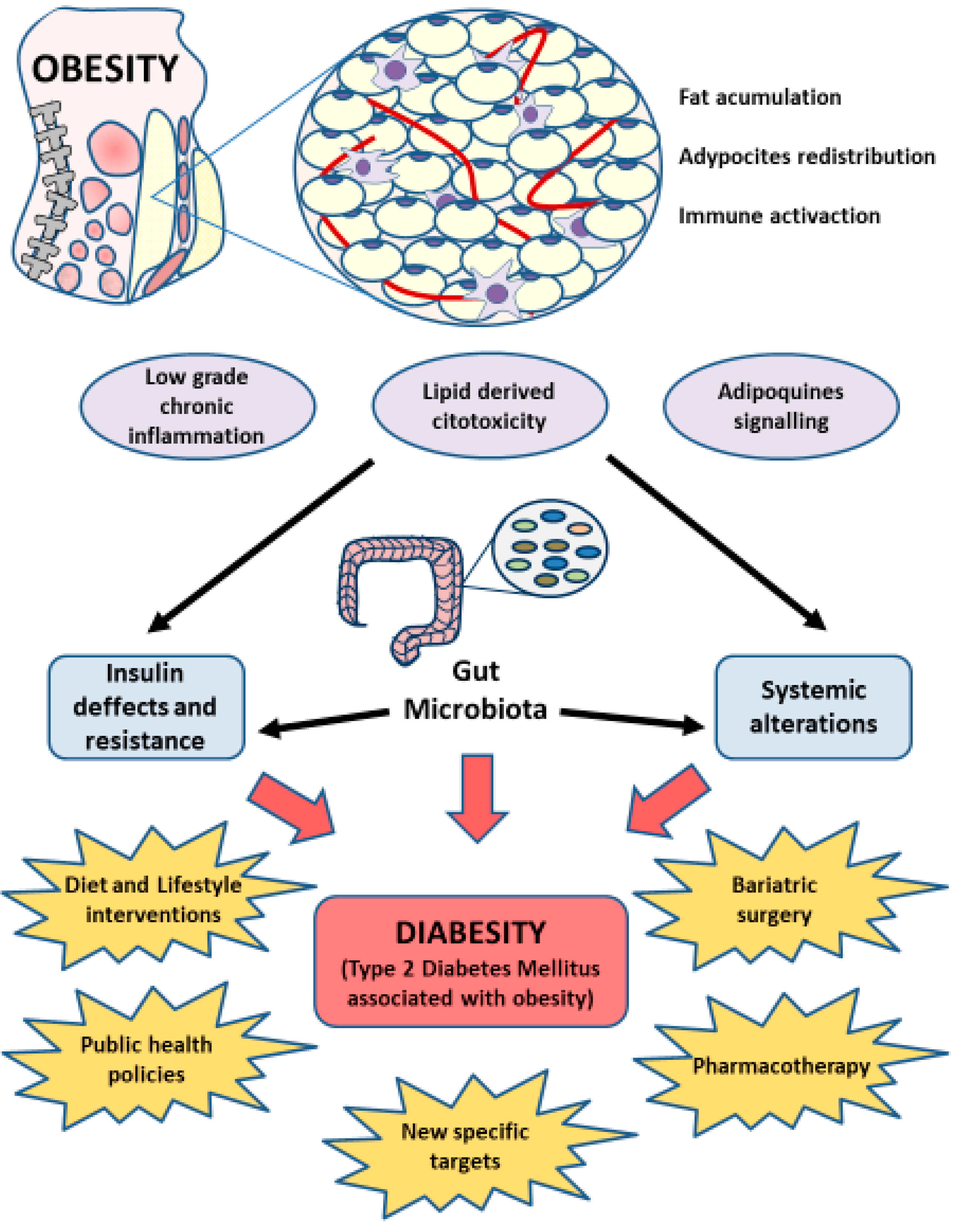 Nutrients | Free Full-Text | Type 2 Diabetes Mellitus Associated with  Obesity (Diabesity). The Central Role of Gut Microbiota and Its  Translational Applications
