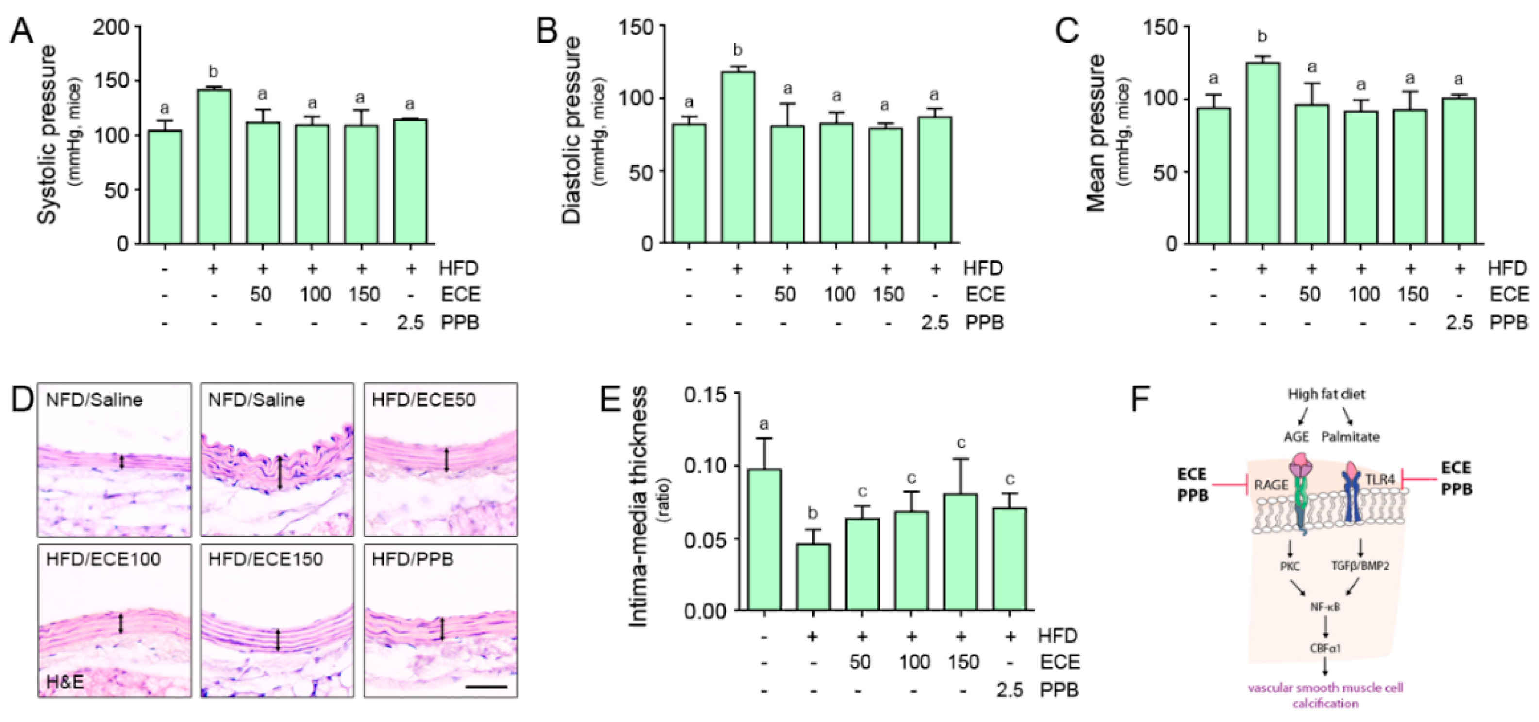 Nutrients Free Full Text Attenuating Effects Of Pyrogallol Phloroglucinol 6 6 Bieckol On Vascular Smooth Muscle Cell Phenotype Changes To Osteoblastic Cells And Vascular Calcification Induced By High Fat Diet Html