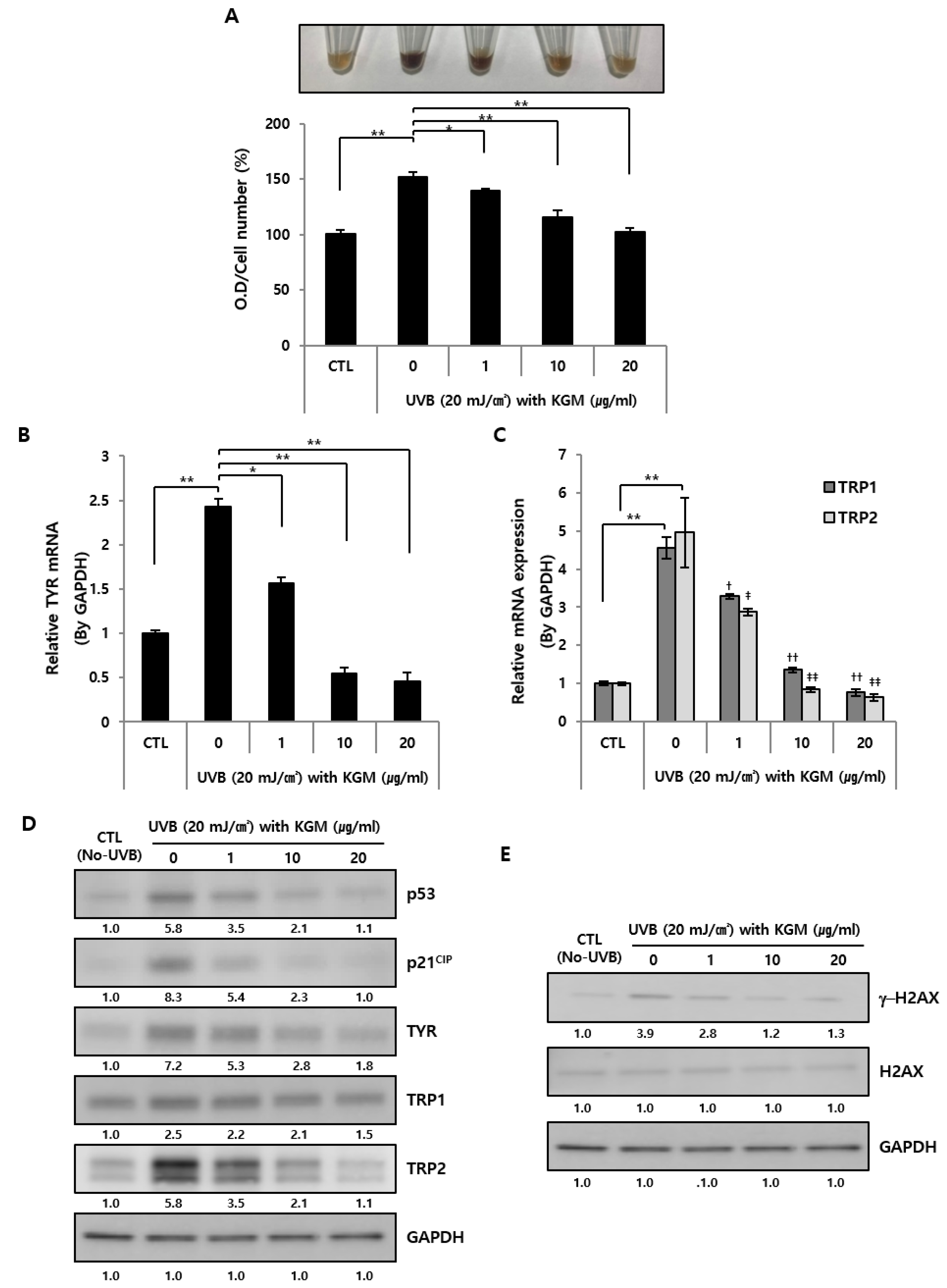 Nutrients 12 02779 g004