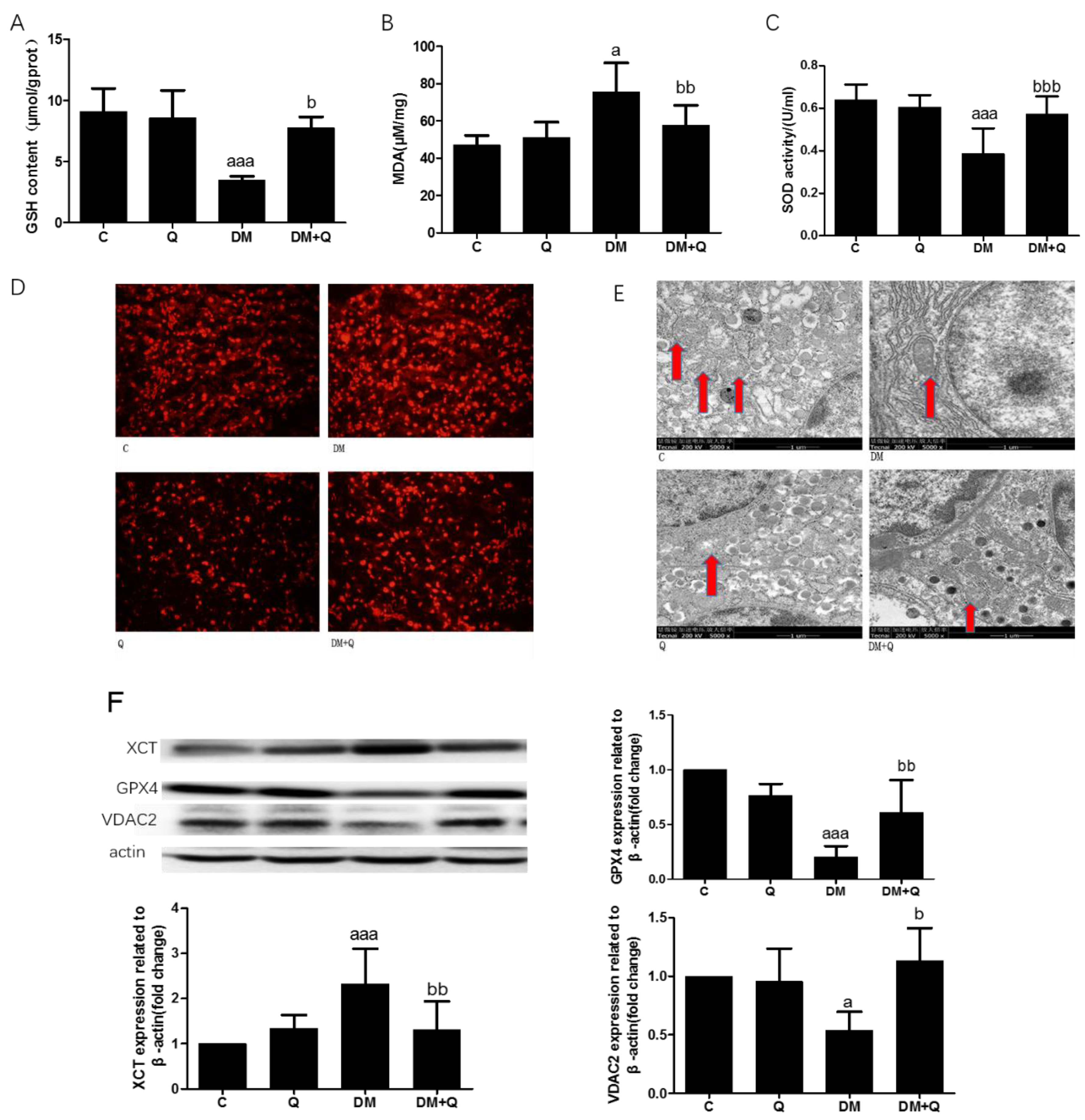 Nutrients 12 02954 g005