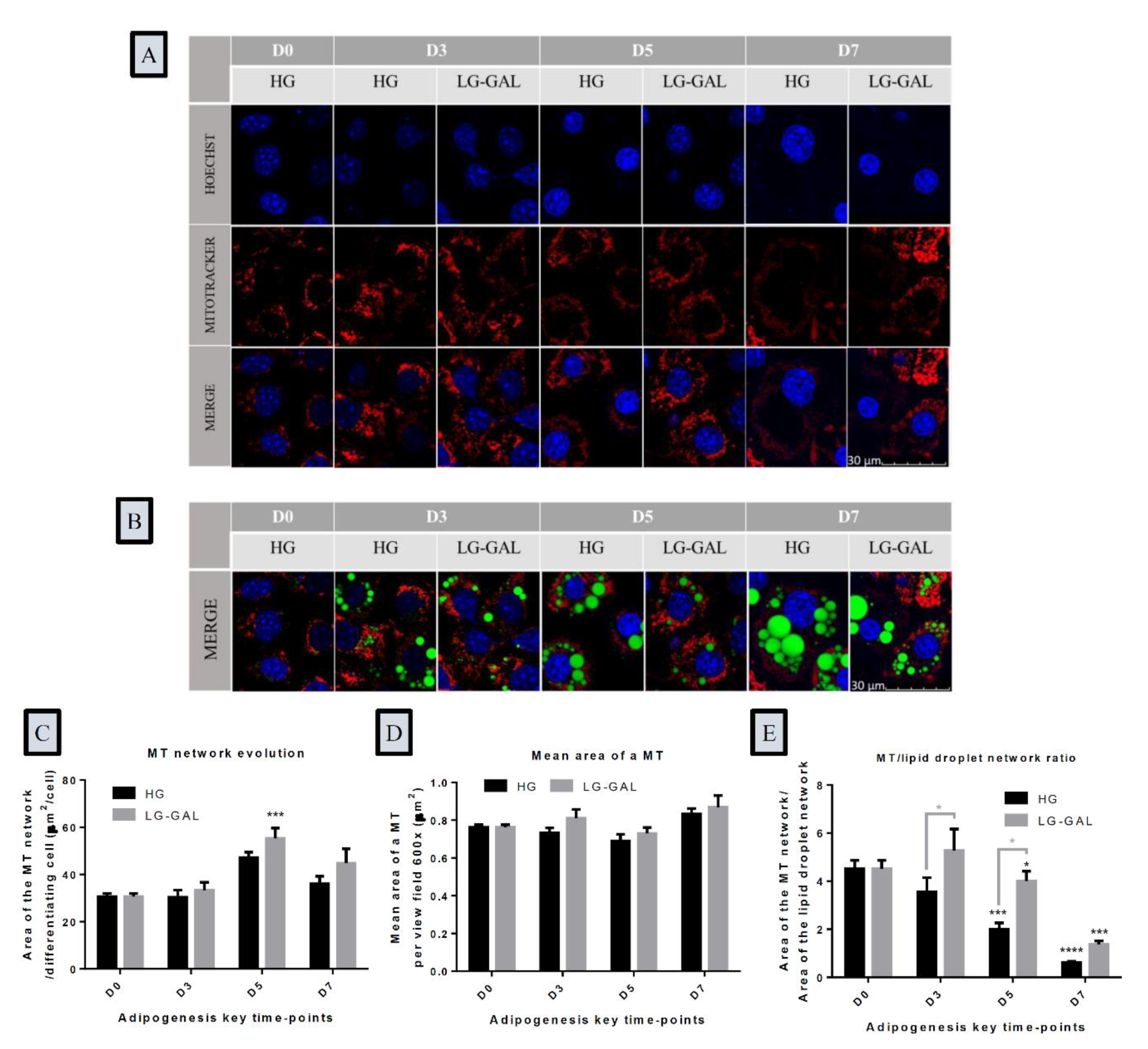 Nutrients 12 02984 g004