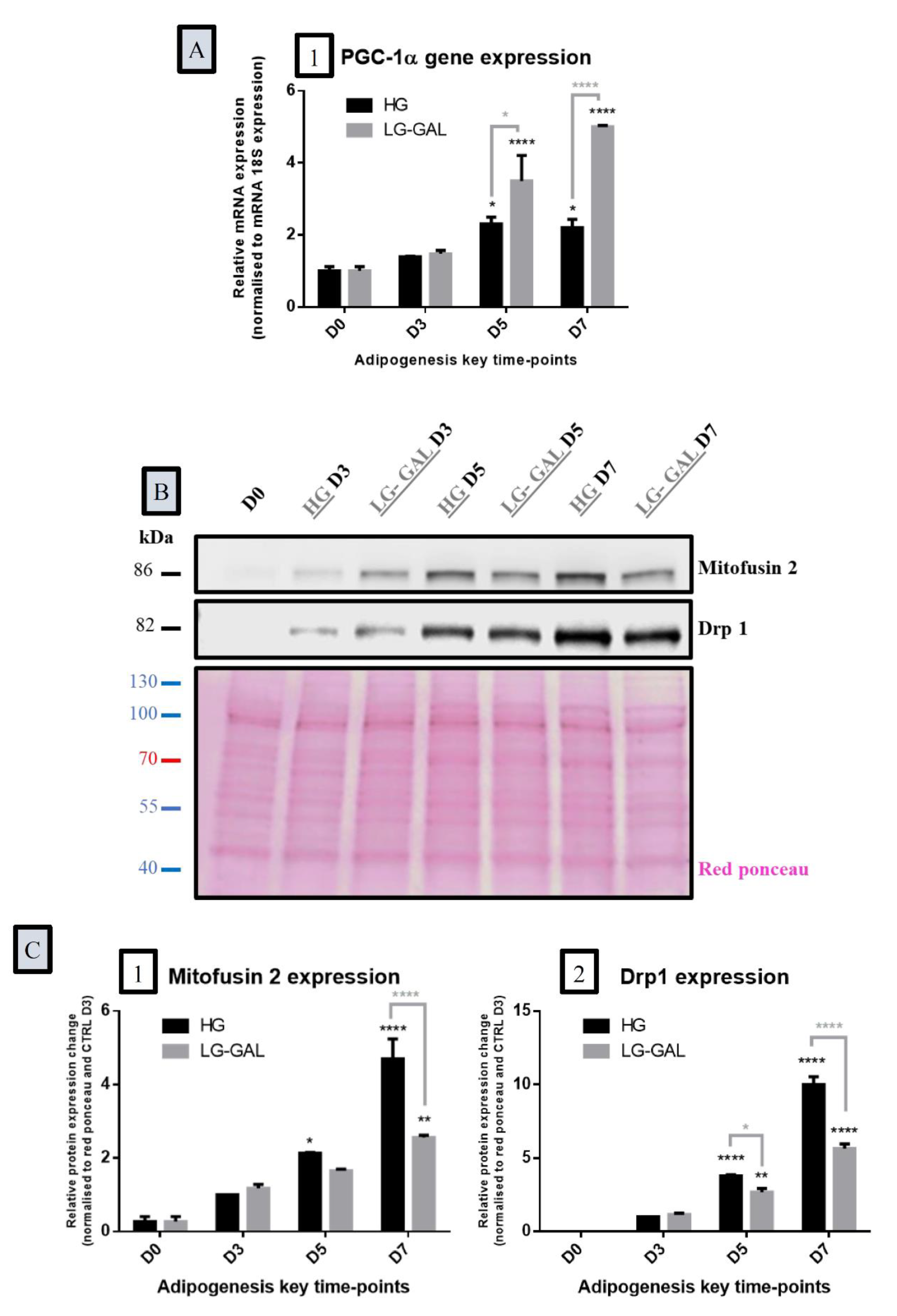 Nutrients 12 02984 g005