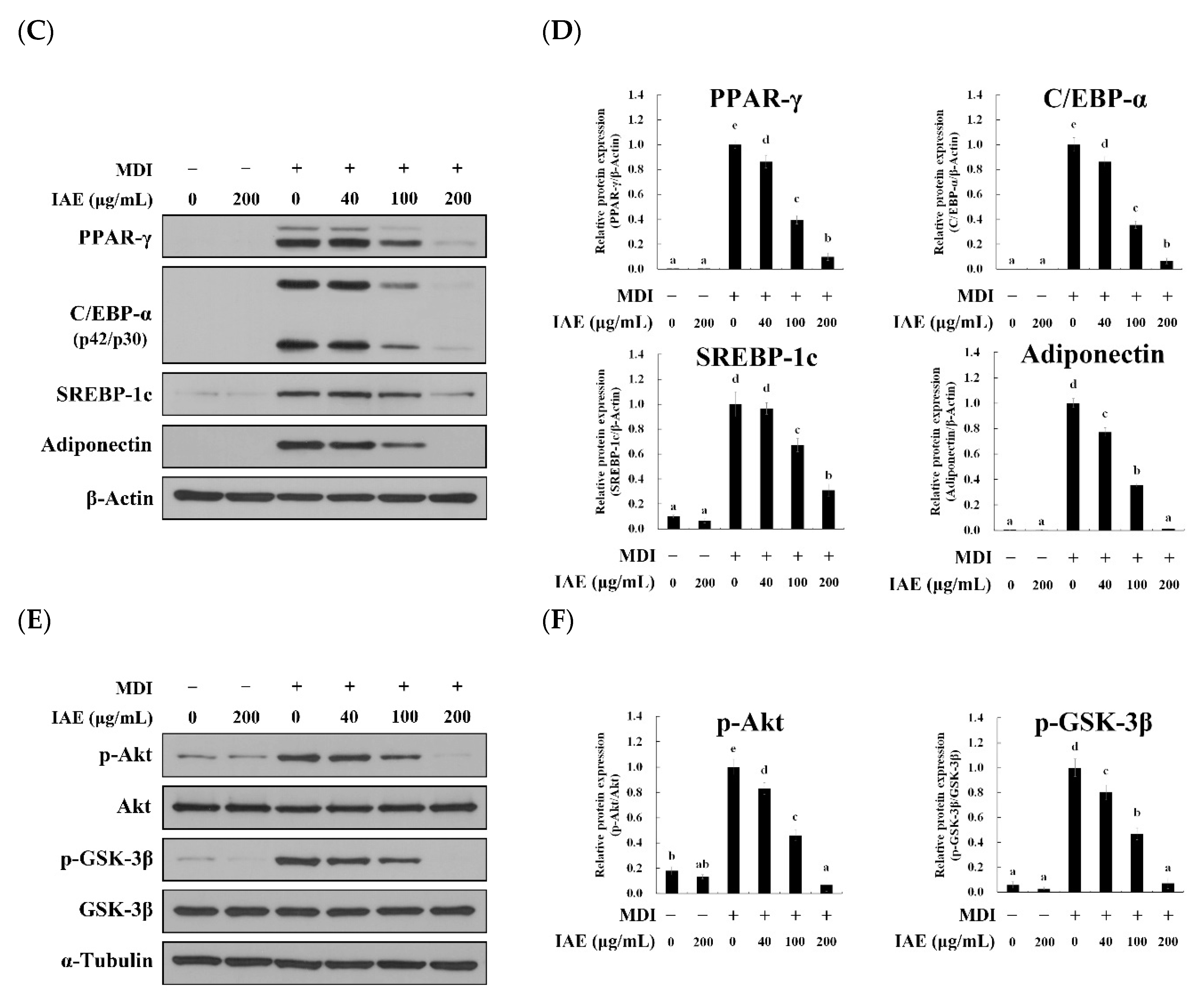 Nutrients 12 03037 g002b Nutrients 12 03037 g002b