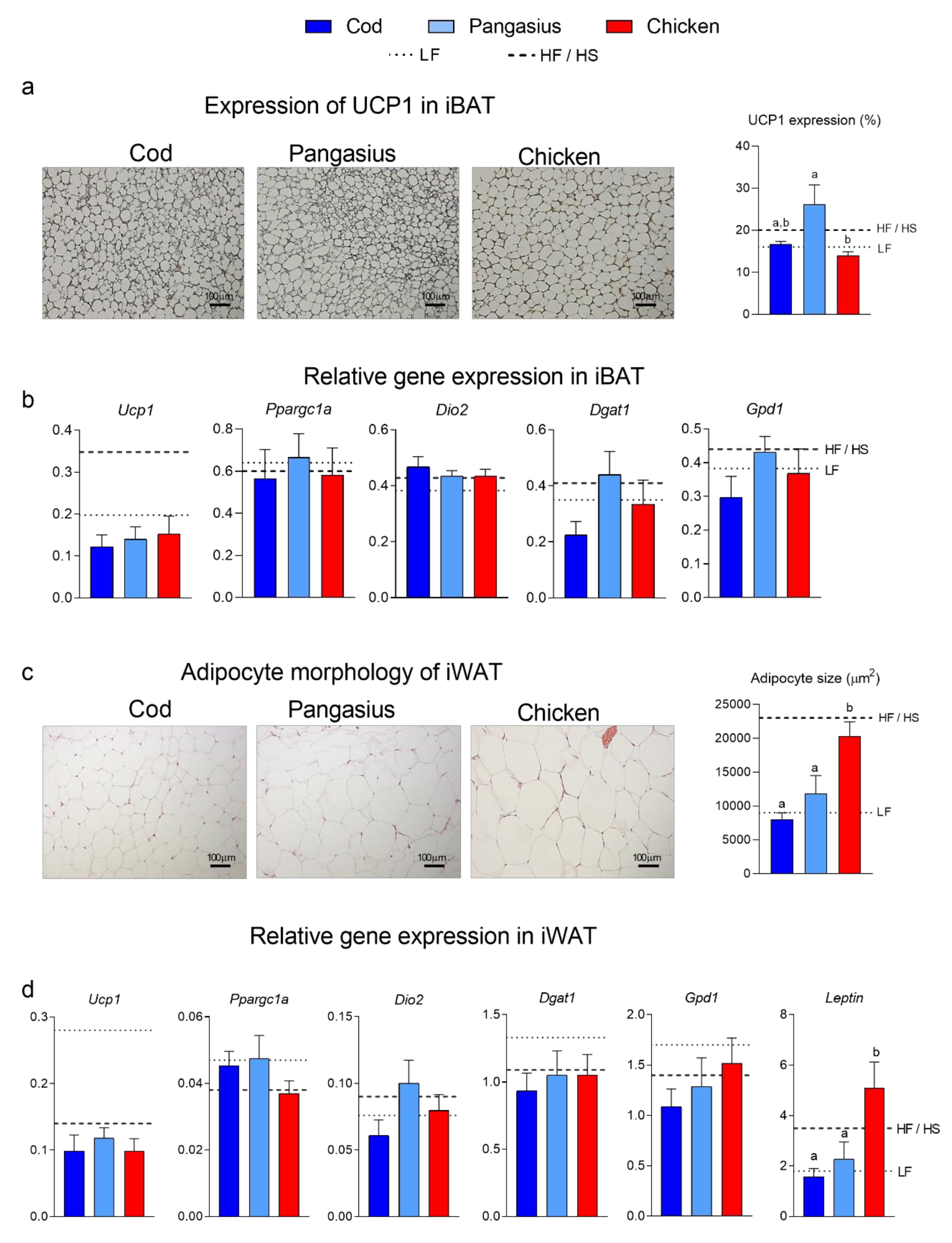 Nutrients 12 03038 g003
