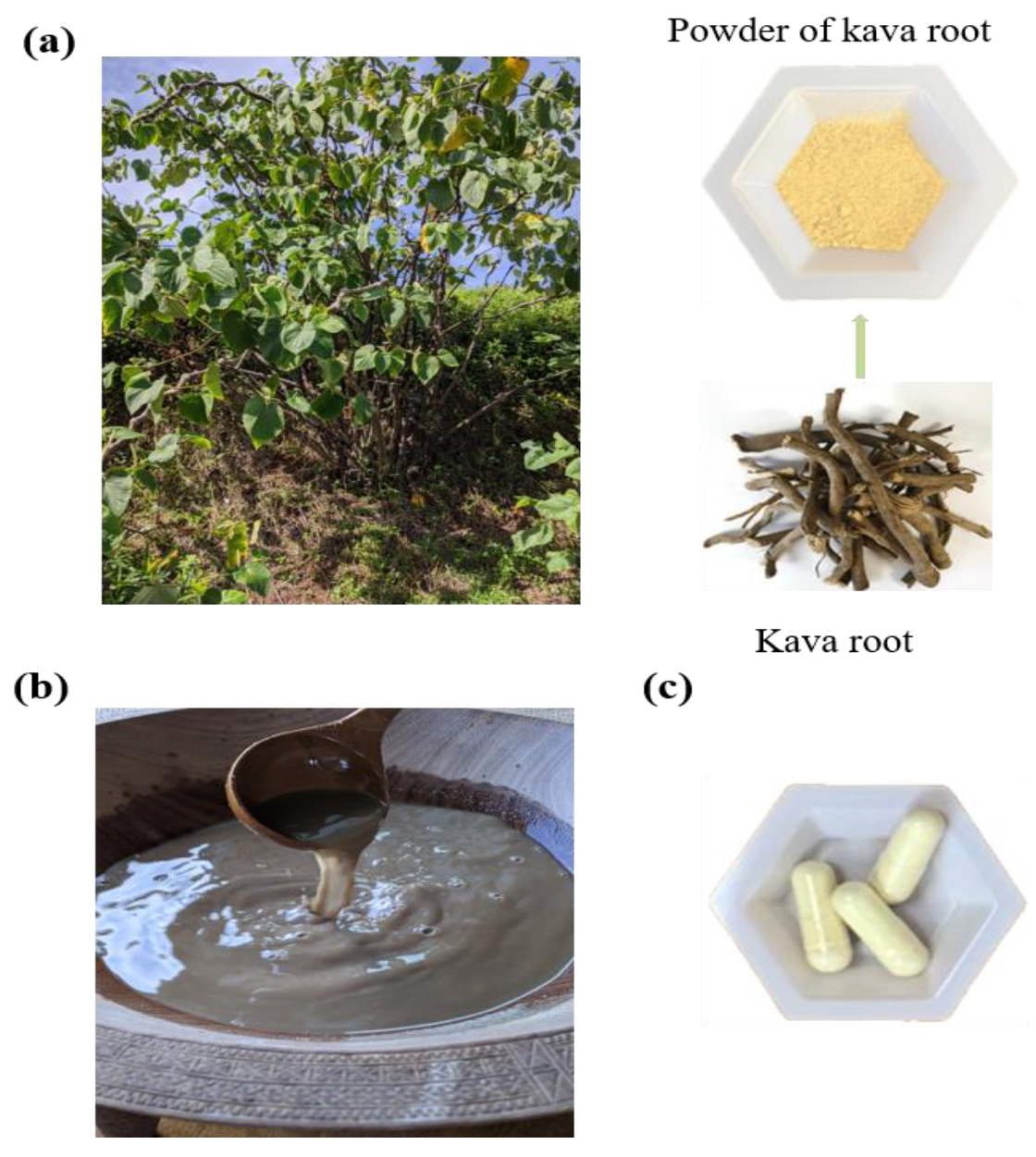 Nutrients | Free Full-Text | Kava as a Clinical Nutrient: Promises and  Challenges