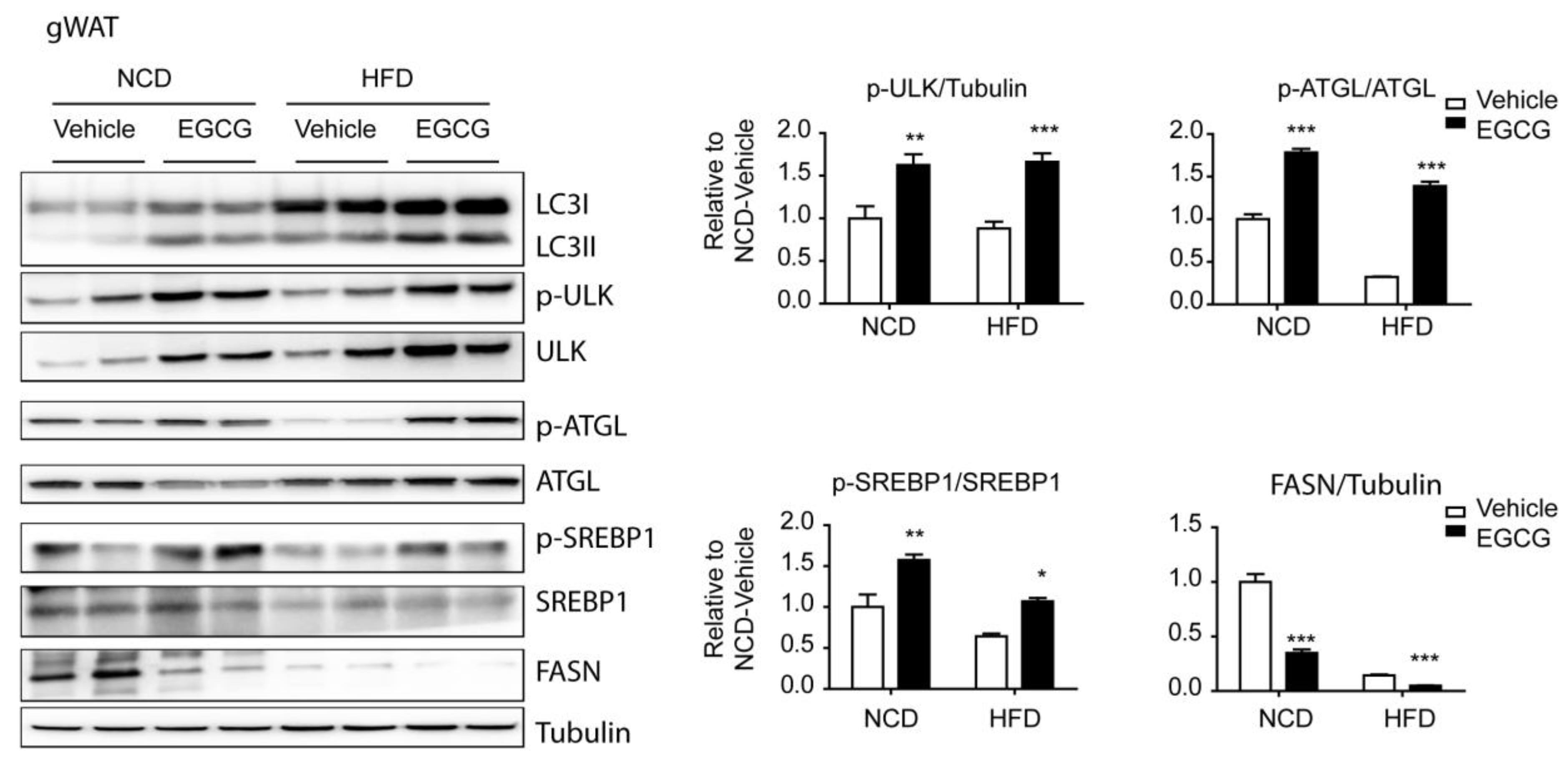Nutrients 12 03072 g003