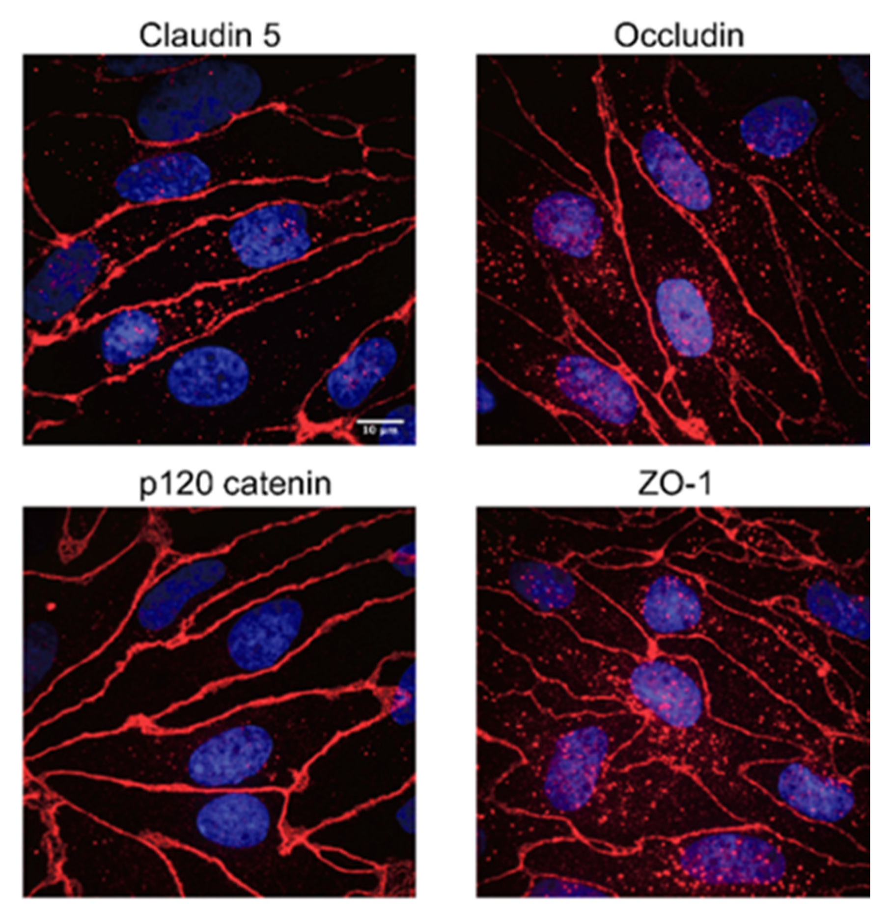 Nutrients 12 03157 g003