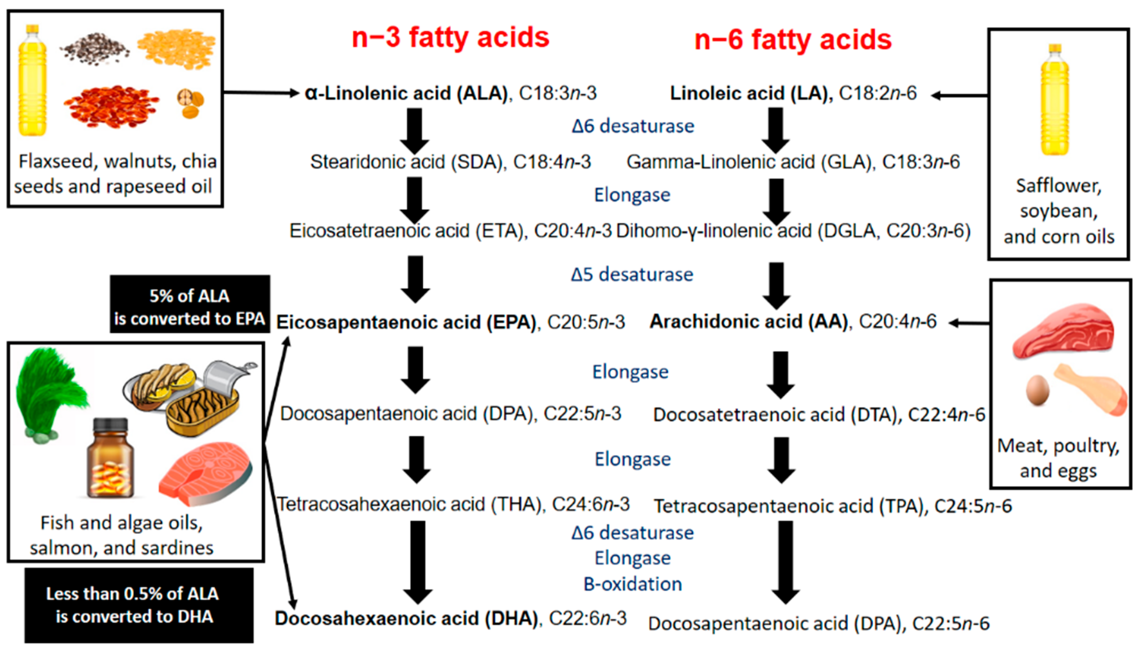 Nutrients | Free Full-Text | Beyond Fish Oil Supplementation: The Effects  of Alternative Plant Sources of Omega-3 Polyunsaturated Fatty Acids upon  Lipid Indexes and Cardiometabolic Biomarkers—An Overview