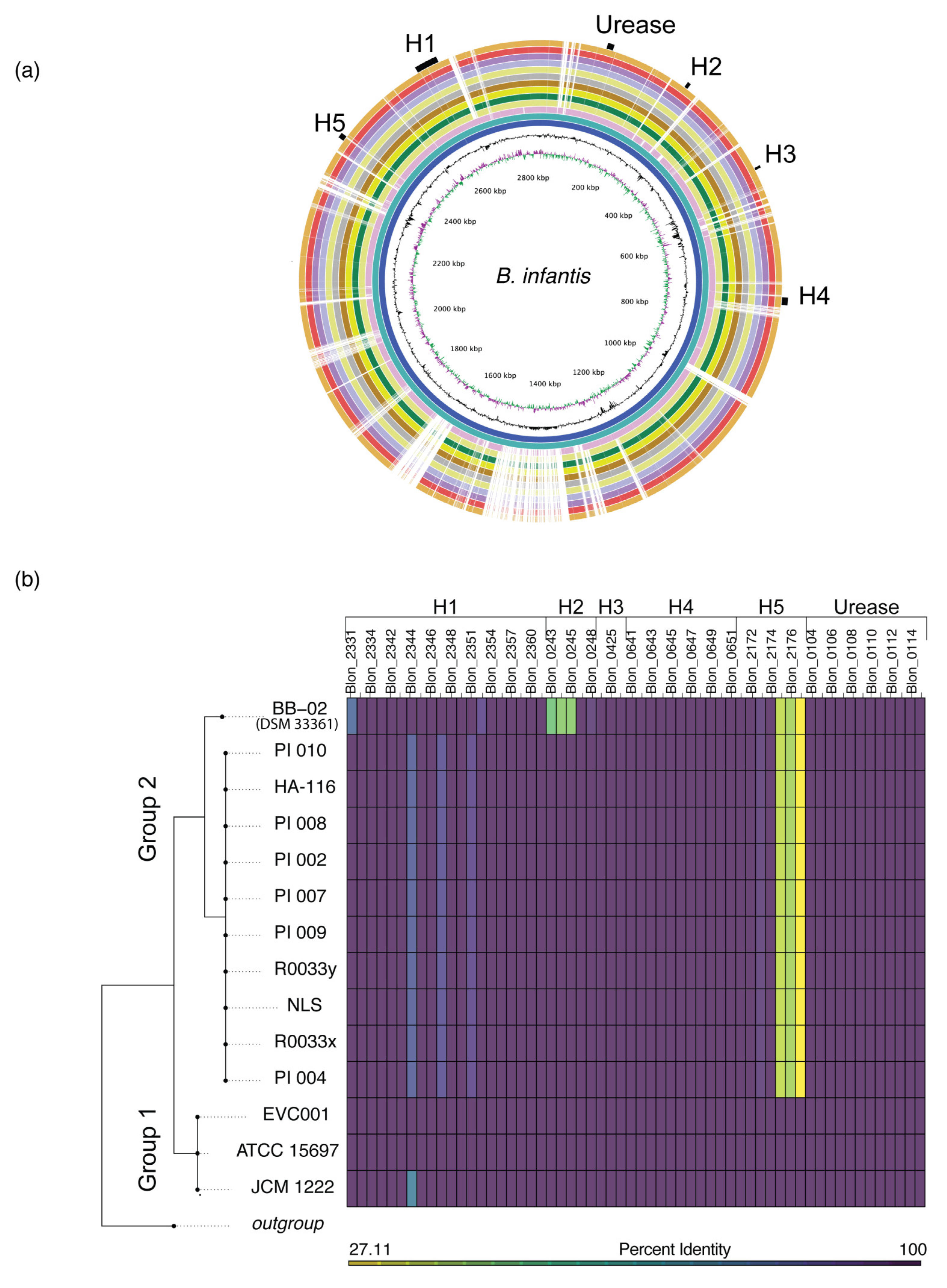 Nutrients | Free Full-Text | Comparative Genome Analysis of Bifidobacterium  longum subsp. infantis Strains Reveals Variation in Human Milk  Oligosaccharide Utilization Genes among Commercial Probiotics | HTML
