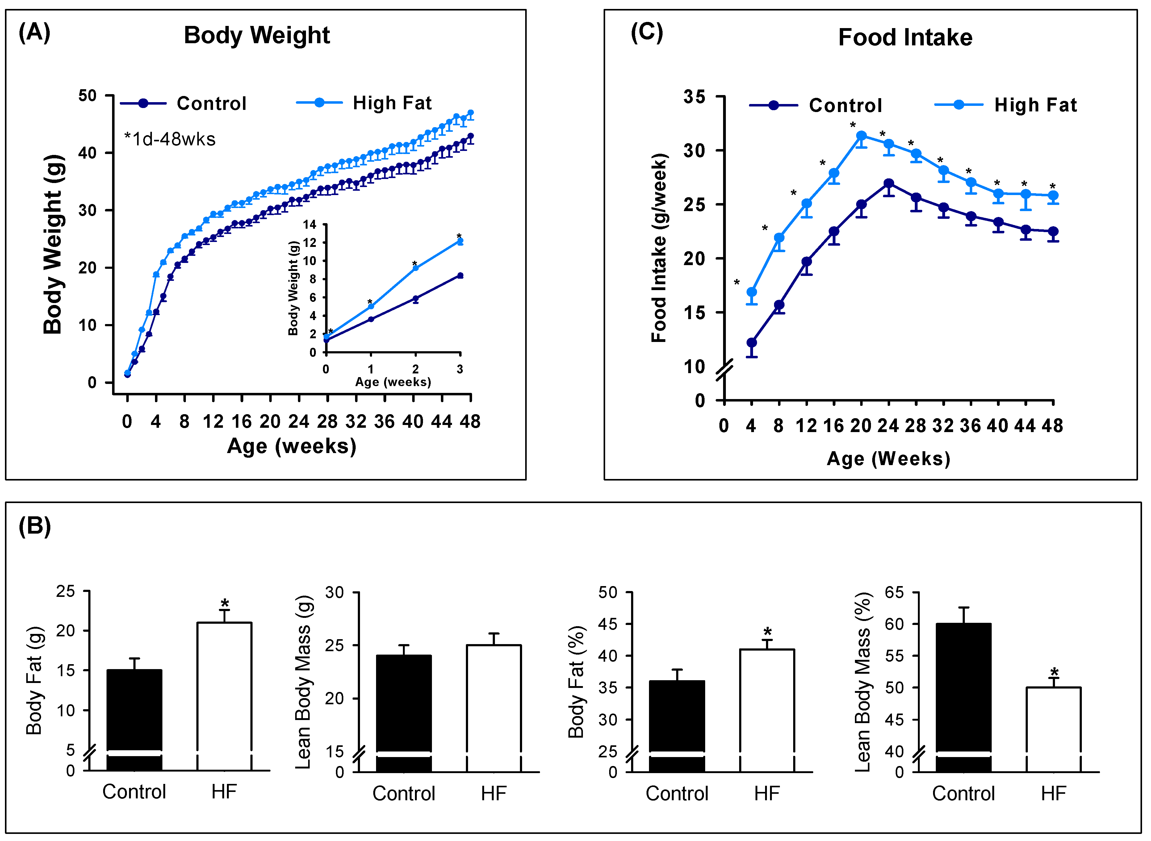 Nutrients Free Full Text Maternal High Fat Diet Programs Male Mice Offspring Hyperphagia And Obesity Mechanism Of Increased Appetite Neurons Via Altered Neurogenic Factors And Nutrient Sensor Ampk Html