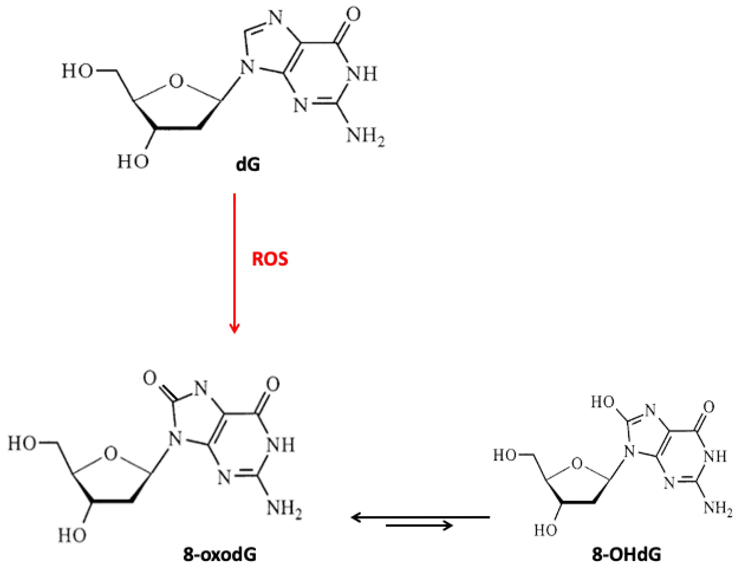 Nutrients 12 03364 g002