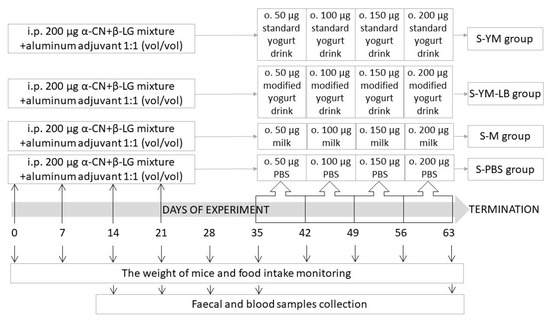 Nutrients Free Full Text Effect Of Low Immunogenic Yogurt Drinks And Probiotic Bacteria On Immunoreactivity Of Cow S Milk Proteins And Tolerance Induction In Vitro And In Vivo Studies Html