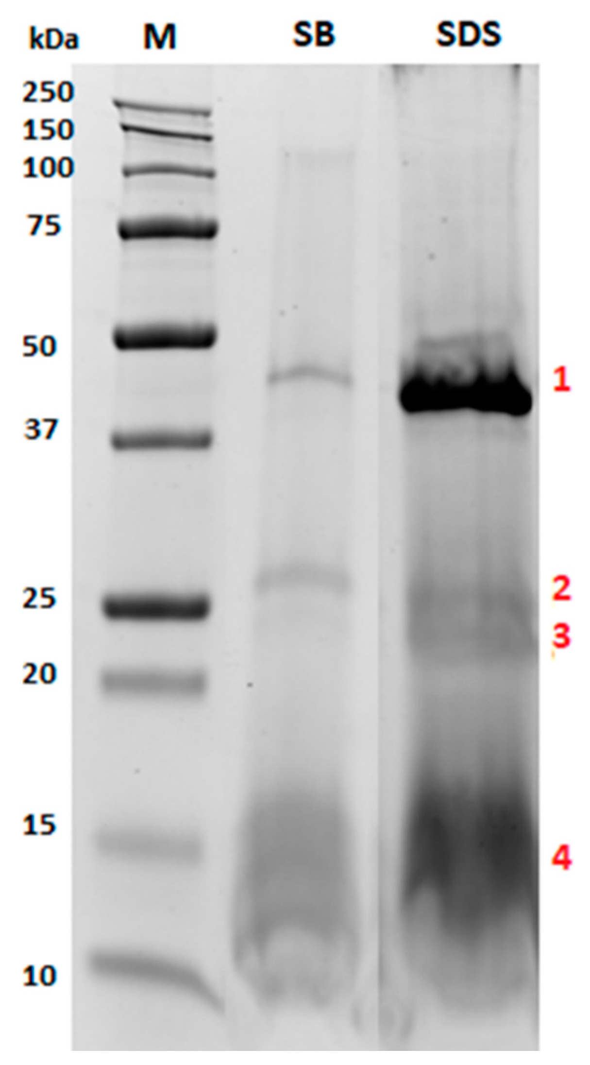 Nutrients 12 03397 g002 Nutrients 12 03397 g002