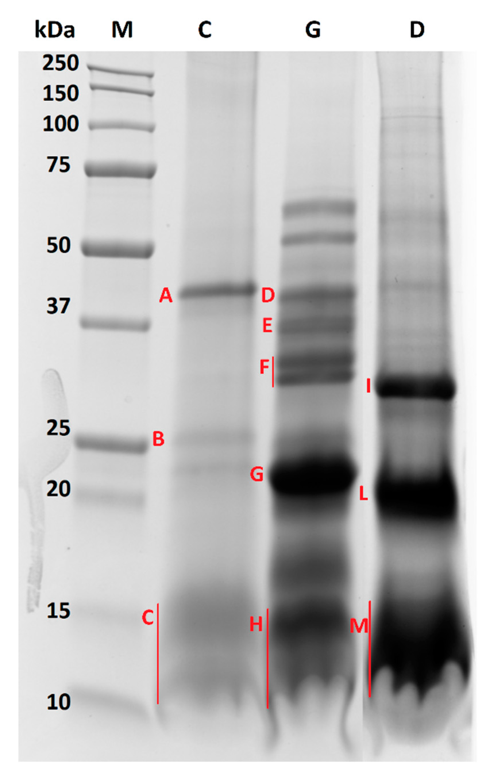 Nutrients 12 03397 g003 Nutrients 12 03397 g003