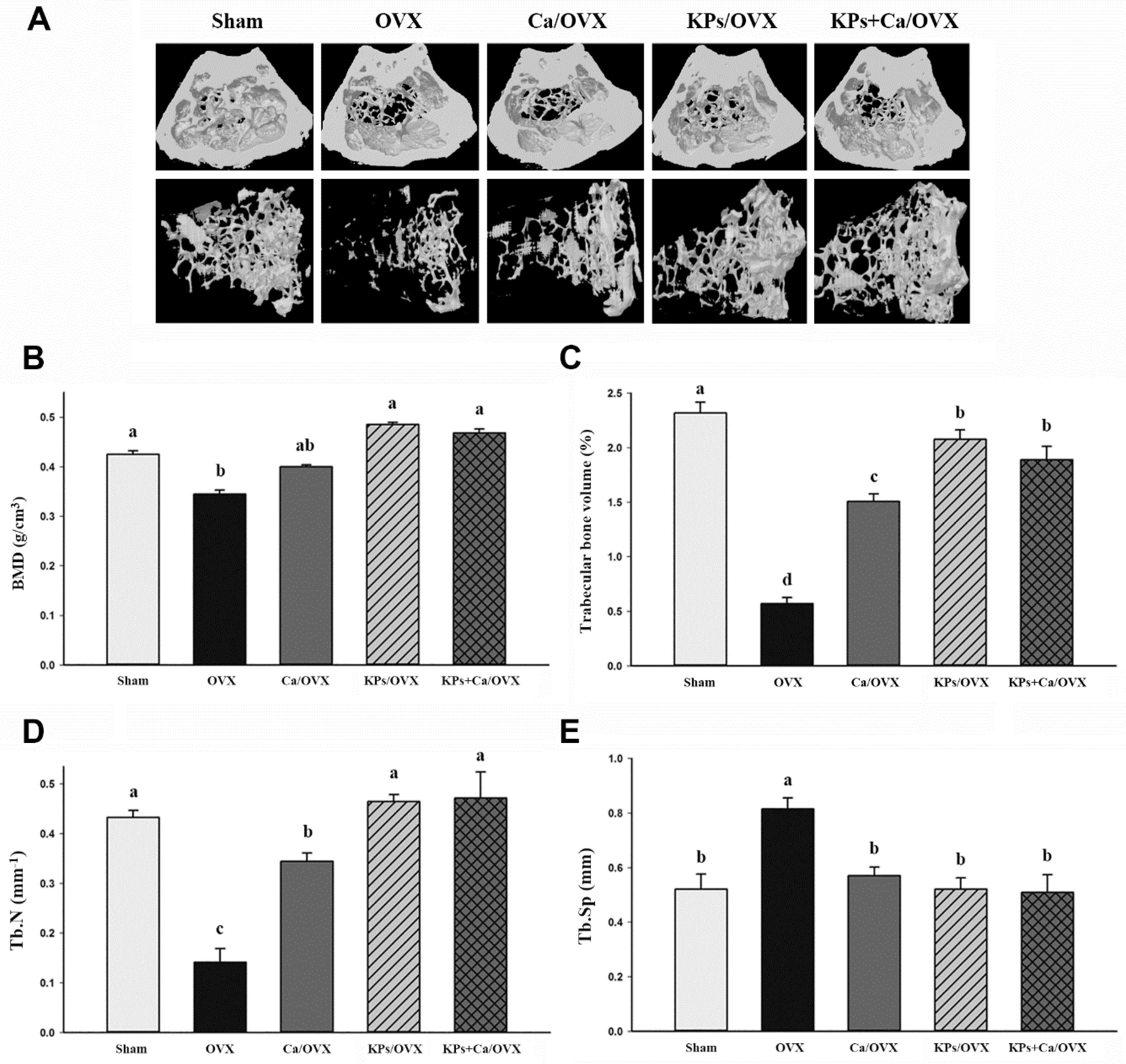 Nutrients 12 03432 g002 Nutrients 12 03432 g002
