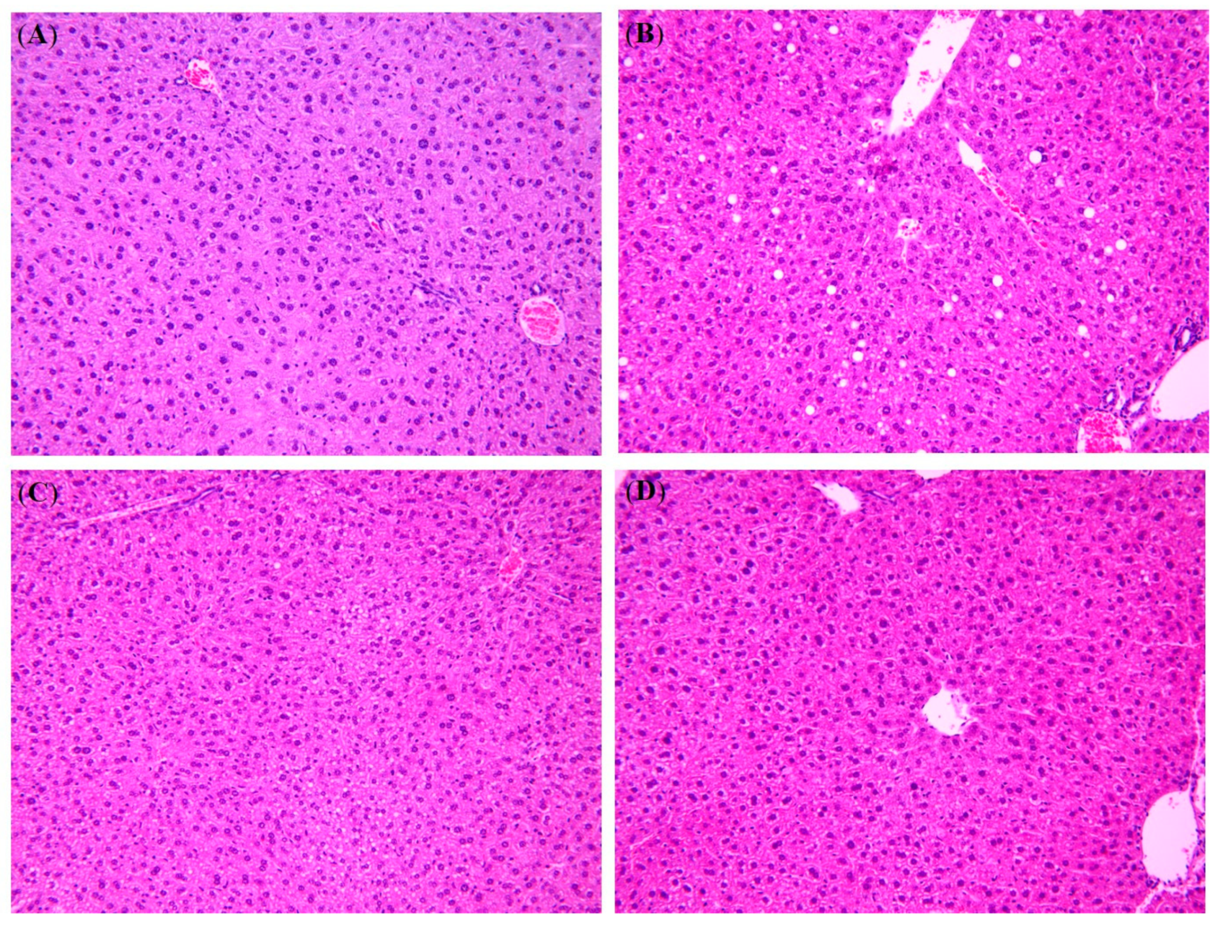 Nutrients 12 03576 g002 Nutrients 12 03576 g002