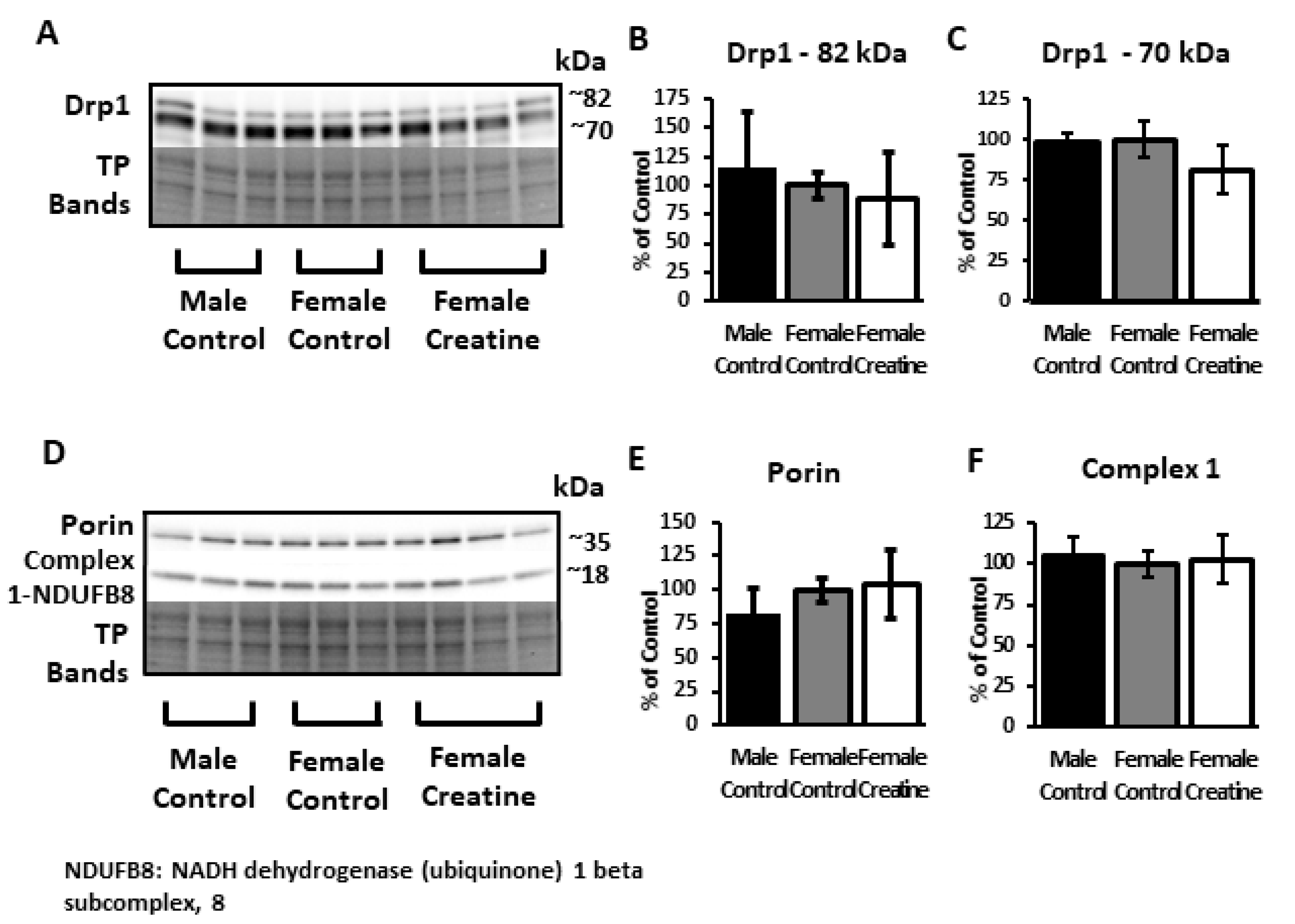 Nutrients 12 03589 g009