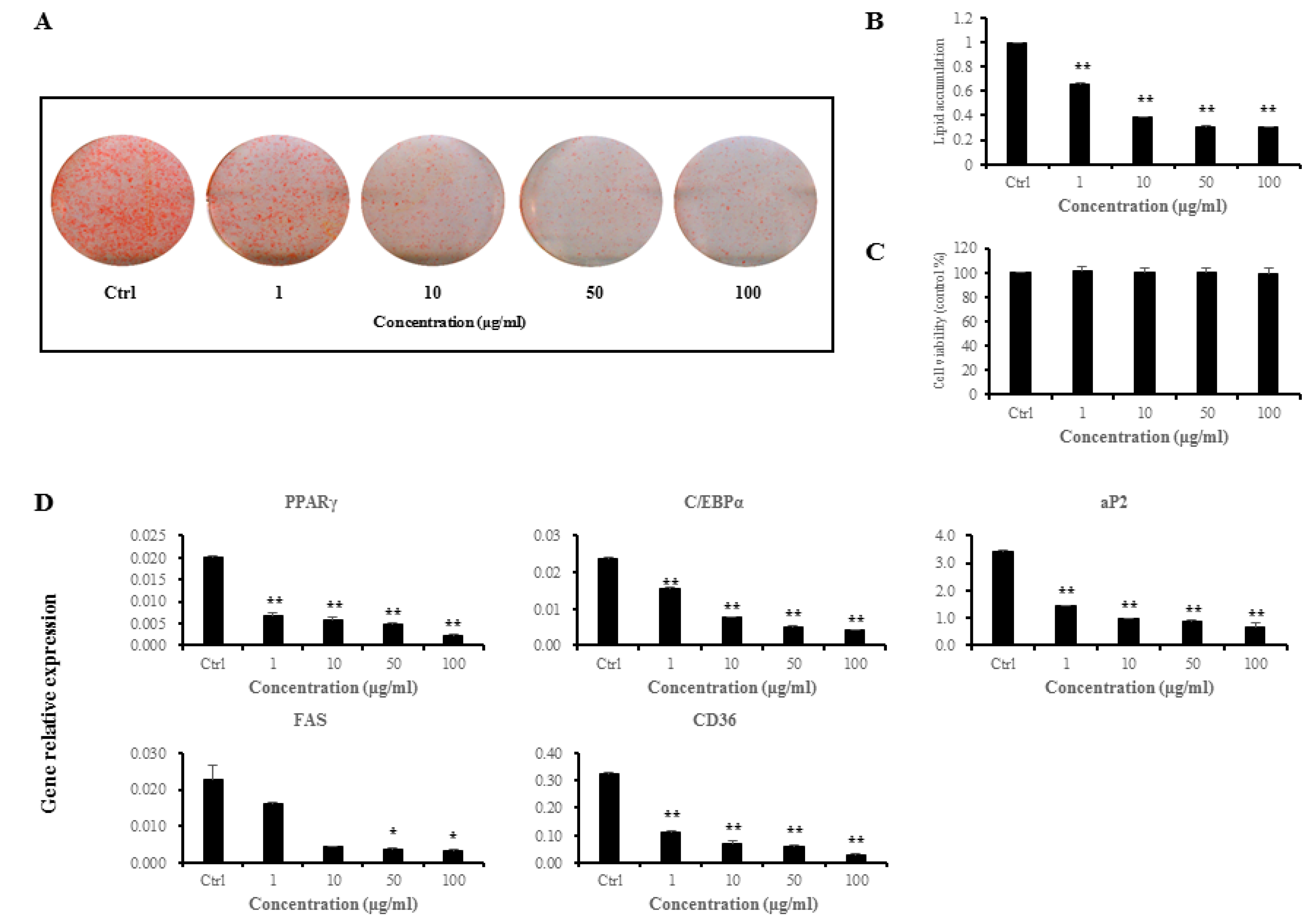 Nutrients | Free Full-Text | Lactobacillus sakei ADM14 Induces Anti-Obesity  Effects and Changes in Gut Microbiome in High-Fat Diet-Induced Obese Mice