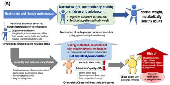 Body composition and metabolism