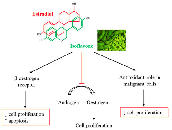 Nutrients, Free Full-Text