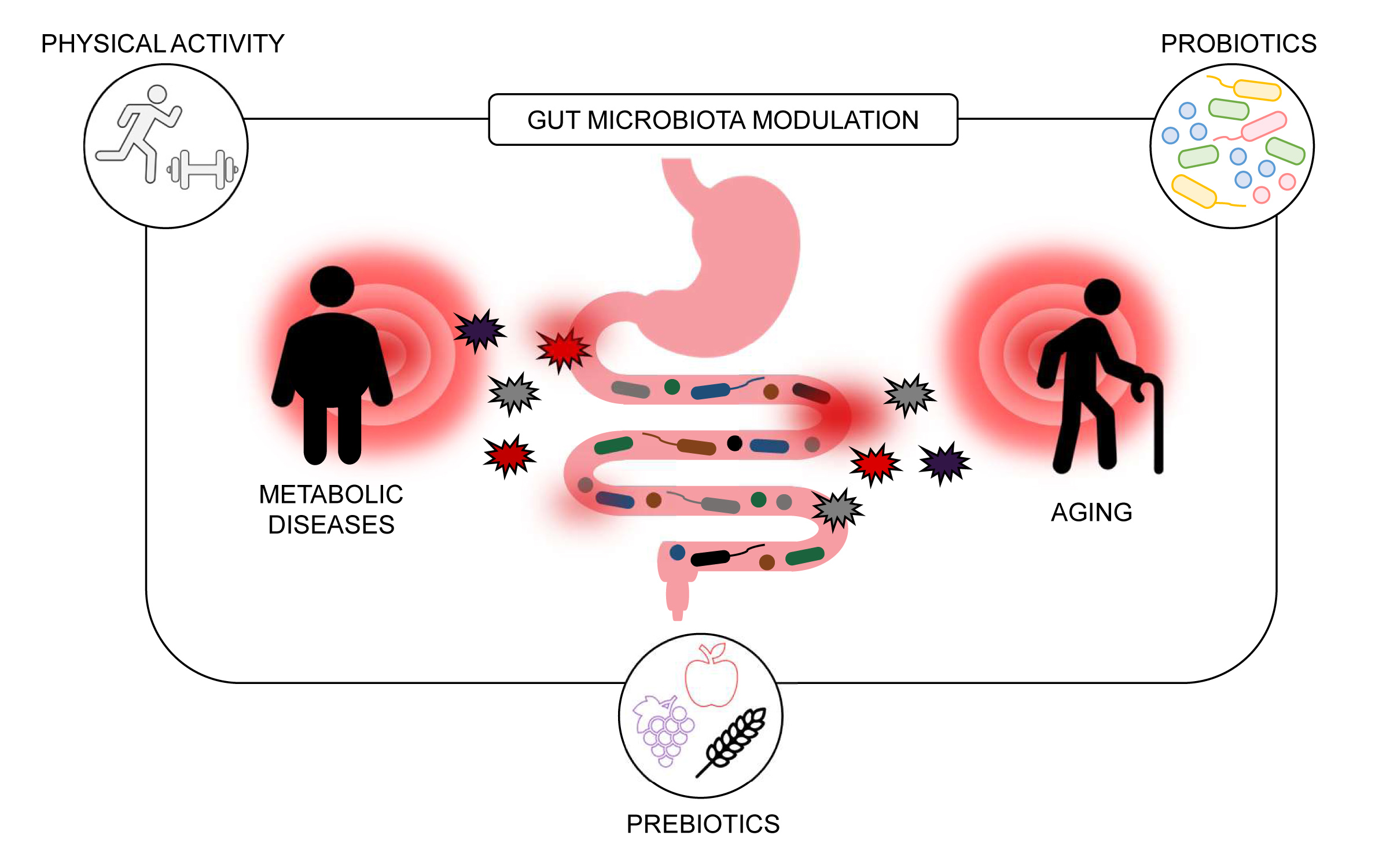 Nutrients | Free Full-Text | Aging, Gut Microbiota And Metabolic ...