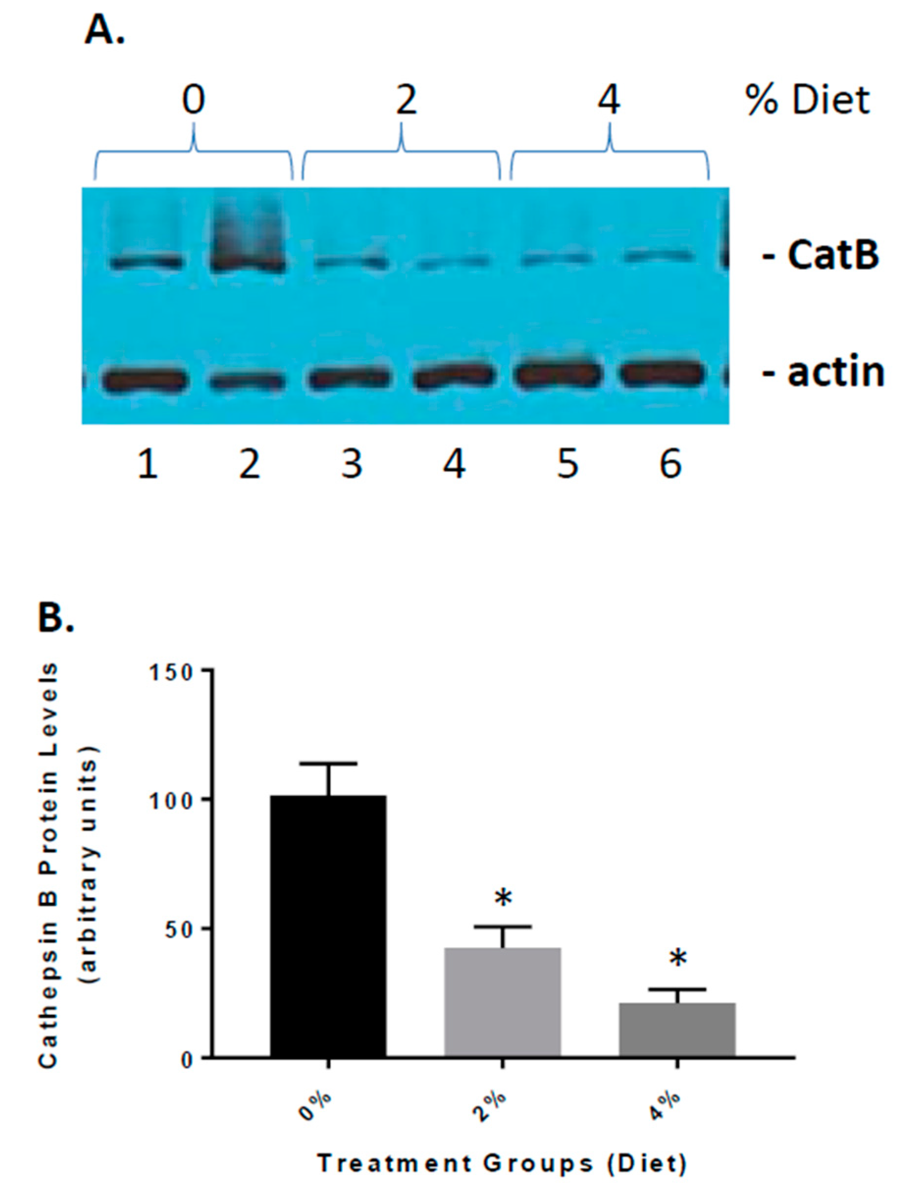 Nutrients 13 00117 g006