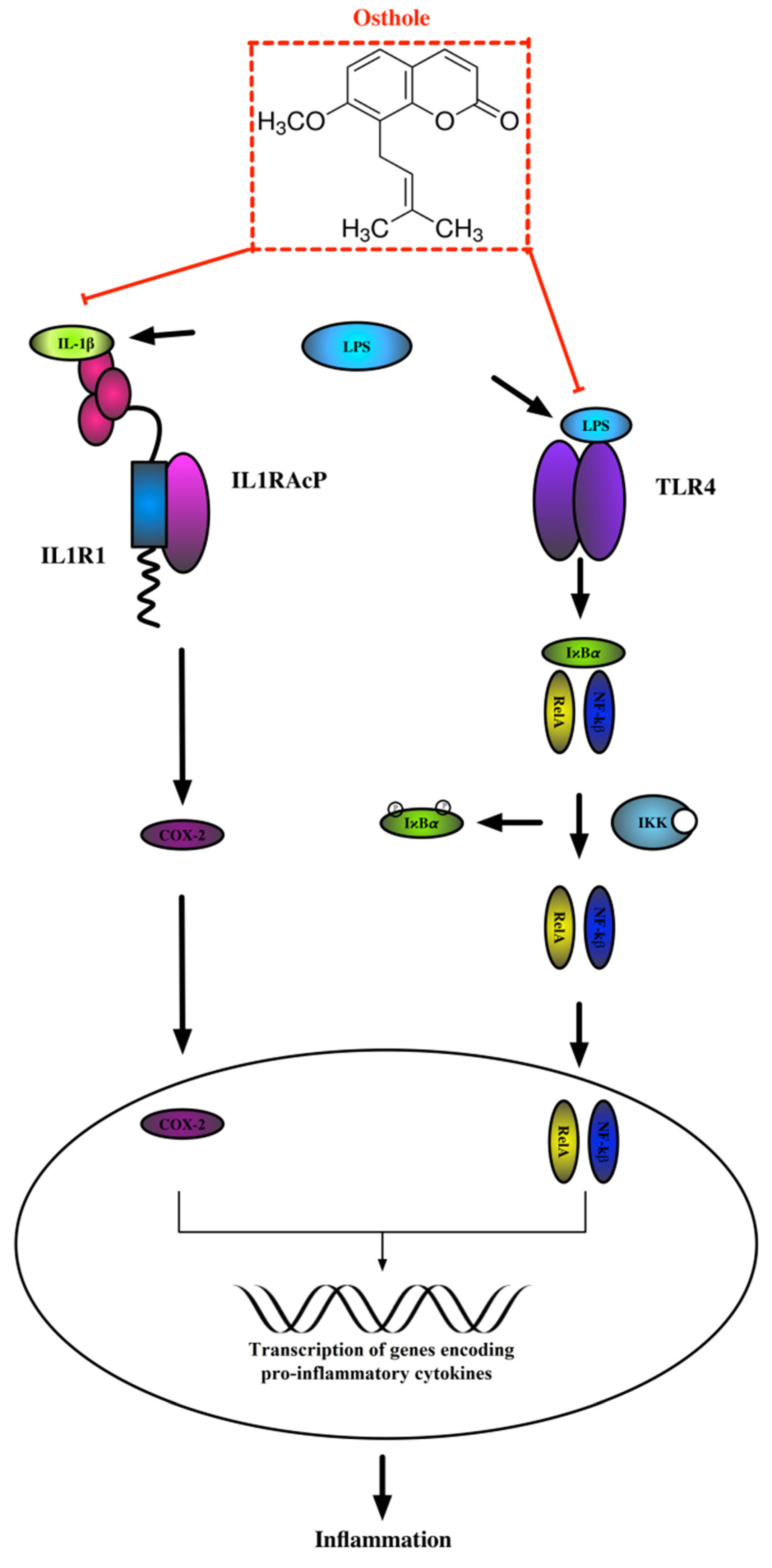 Nutrients 13 00123 g007