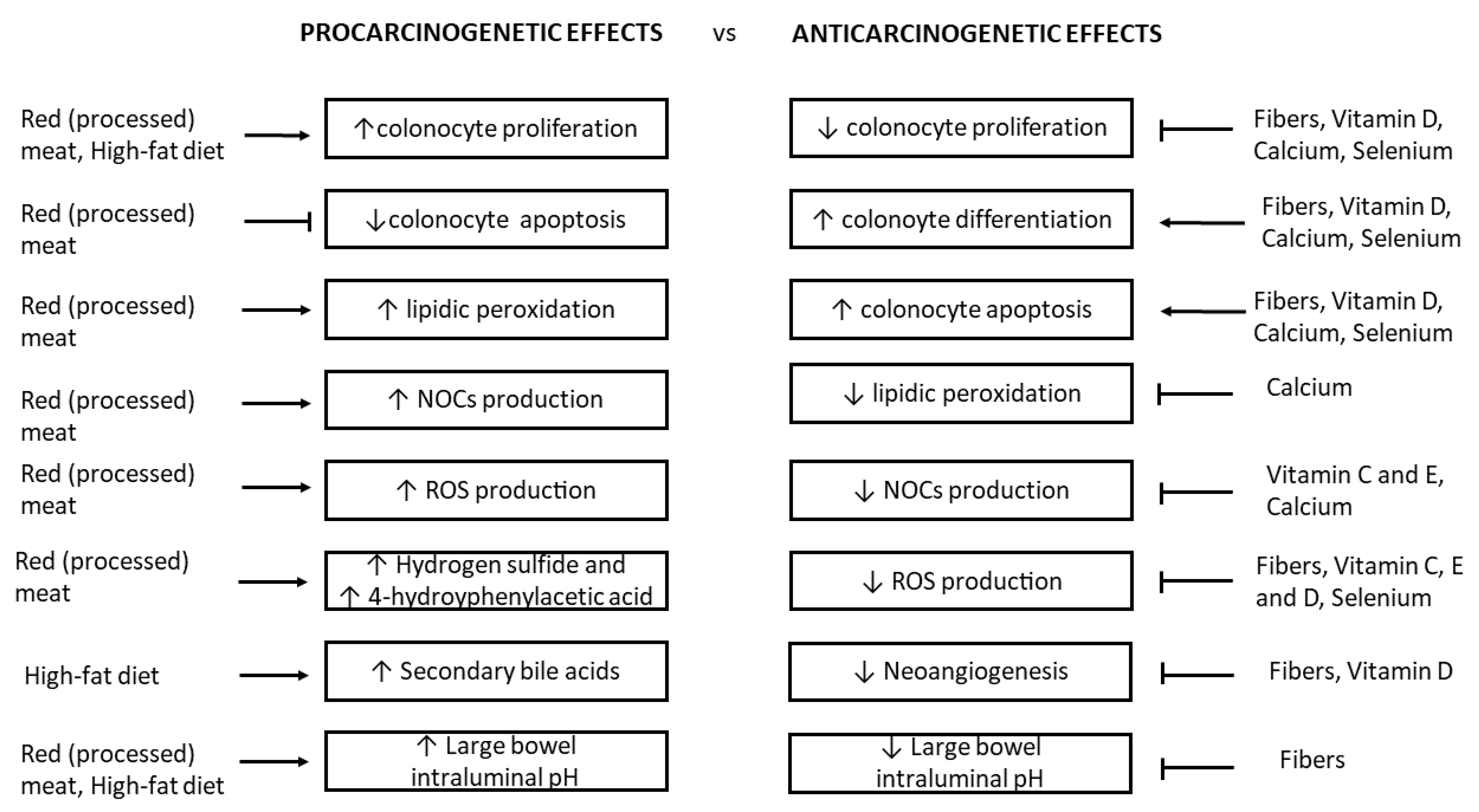 Nutrients 13 00143 g001