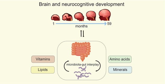 Nutrients | Free Full-Text | Nutritional Support Of Neurodevelopment ...