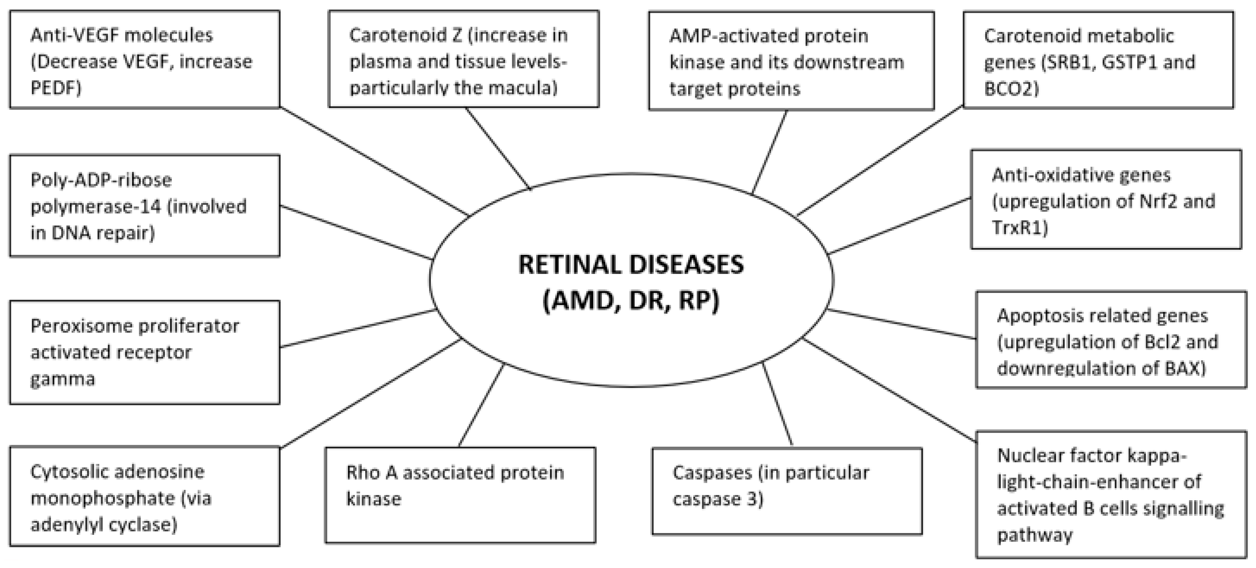 Nutrients 13 00246 g003
