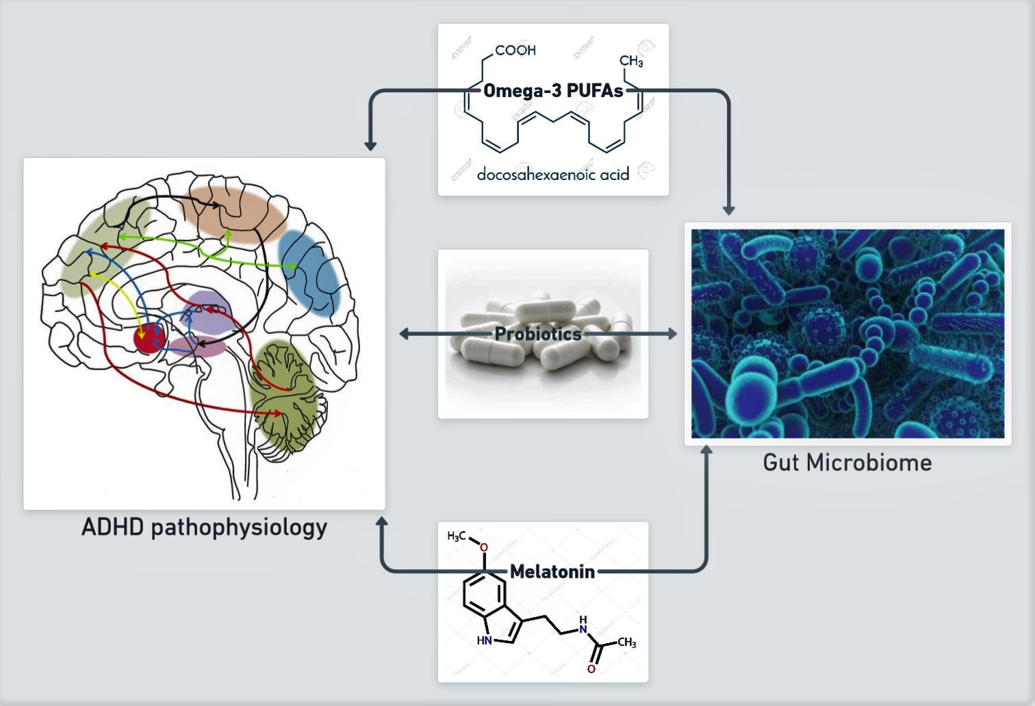 Nutrients | Free Full-Text | Current Evidence On The Role Of The Gut ...