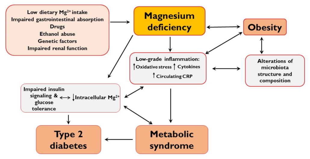 Nutrients | Free Full-Text | Magnesium in Obesity, Metabolic Syndrome, and  Type 2 Diabetes