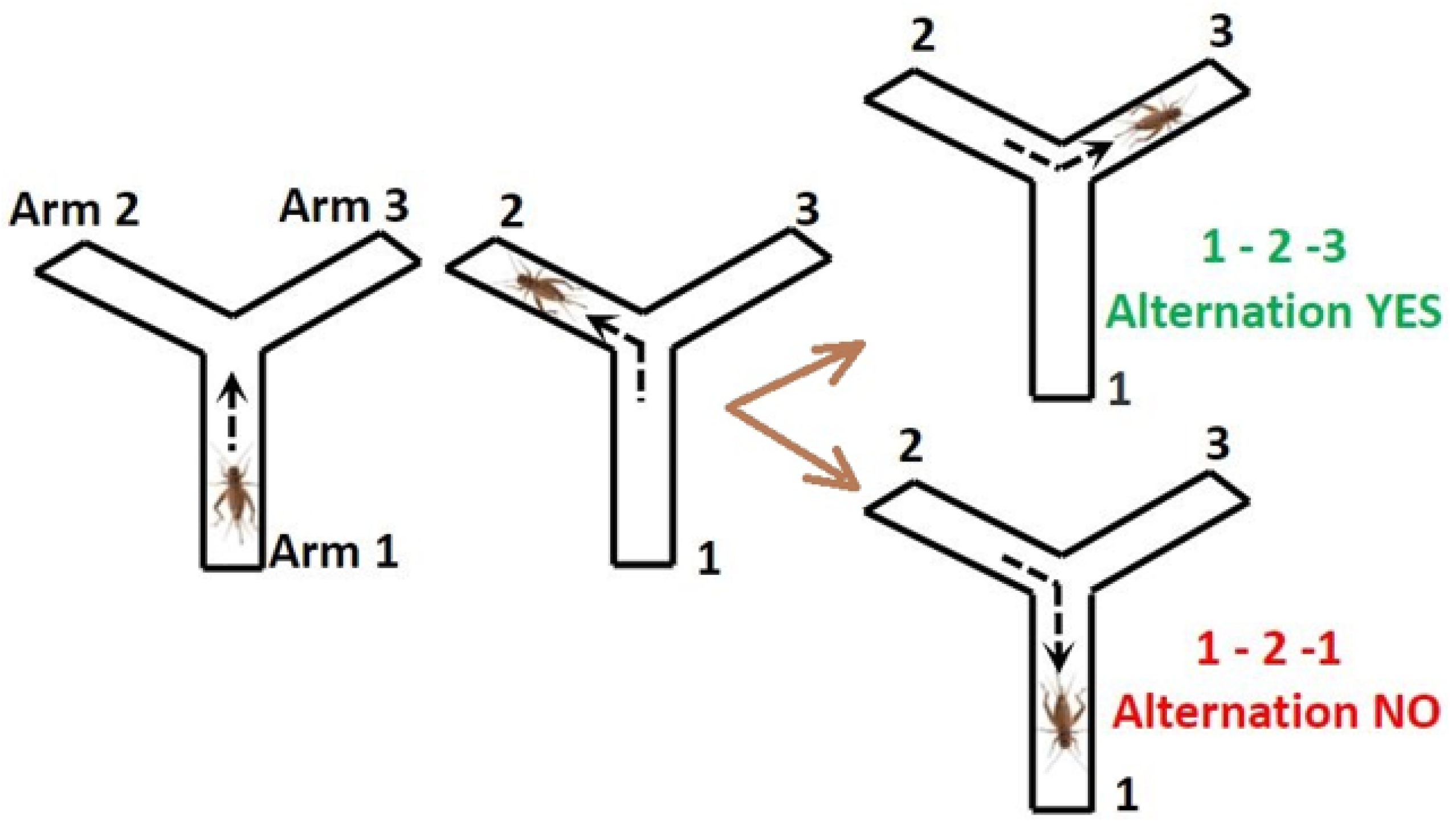 Nutrients 13 00362 g002 Nutrients 13 00362 g002
